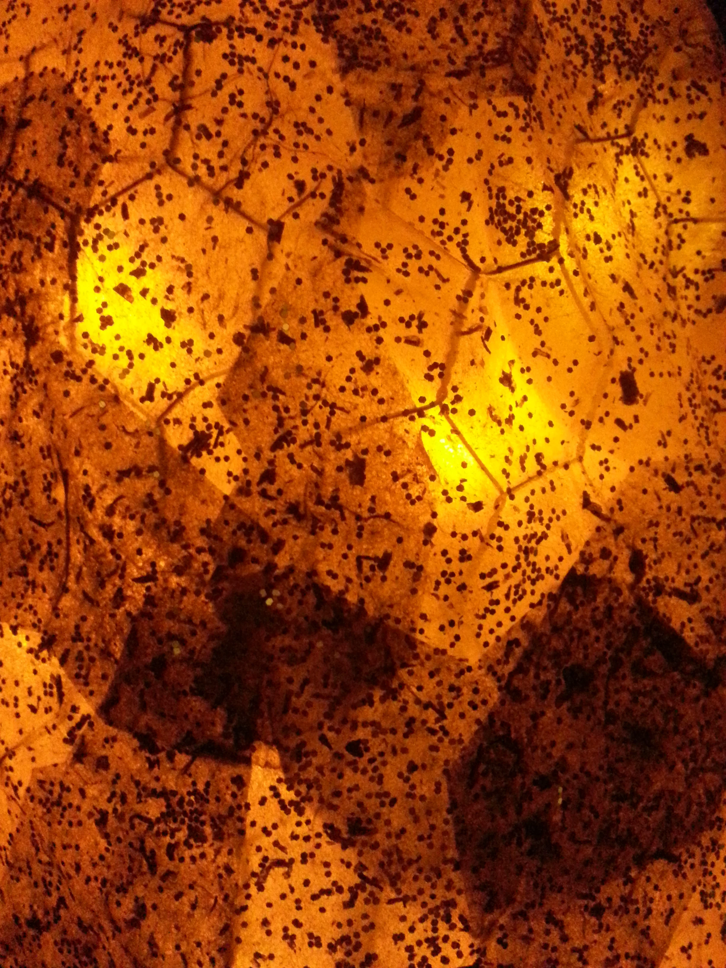 20131014_221906.jpg