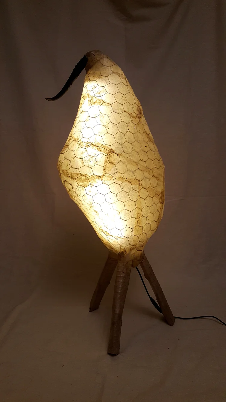 Bird+Horn+2.jpg