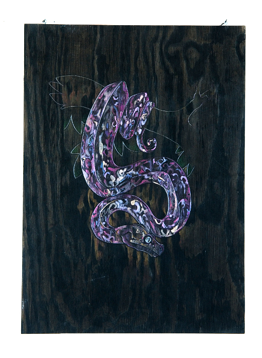 "Umbral Python"