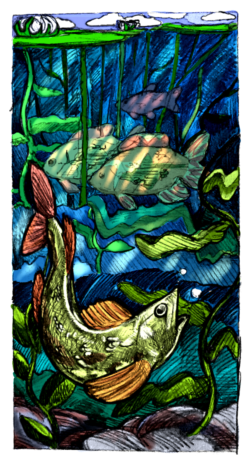 Vertical Fishmural.png