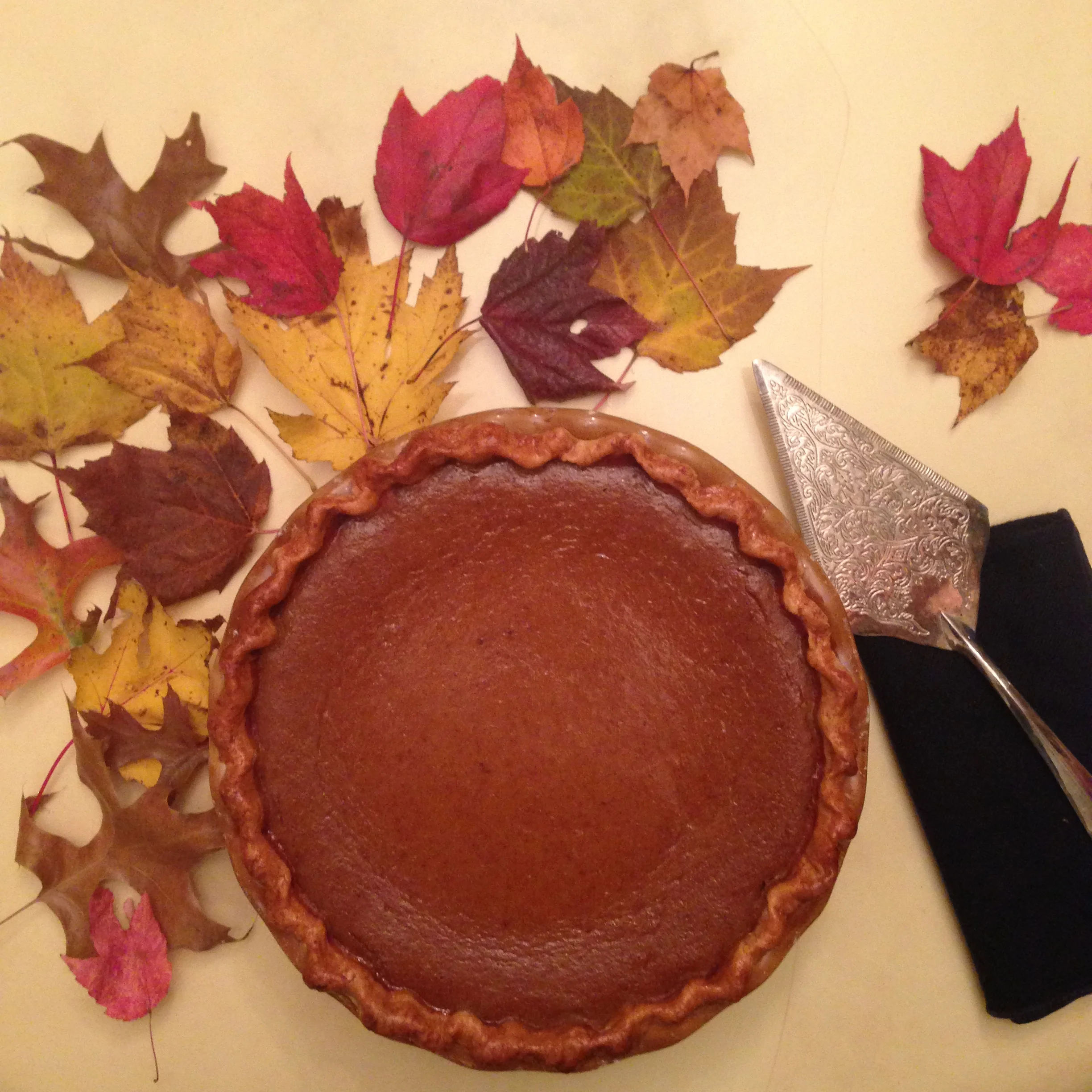 harvest pumpkin pie.jpg