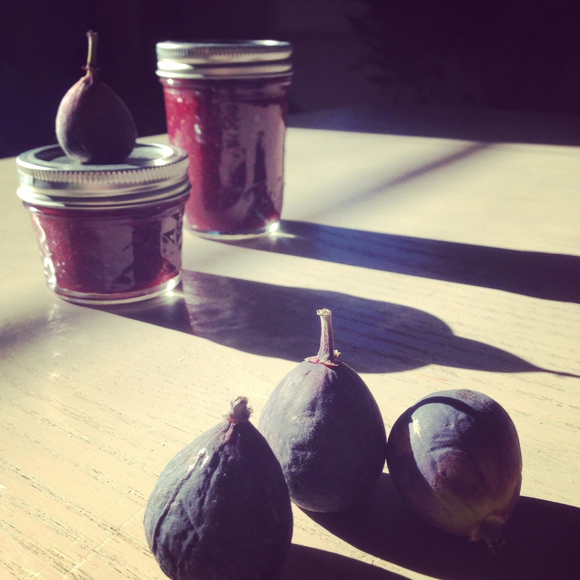 fig jam.jpg