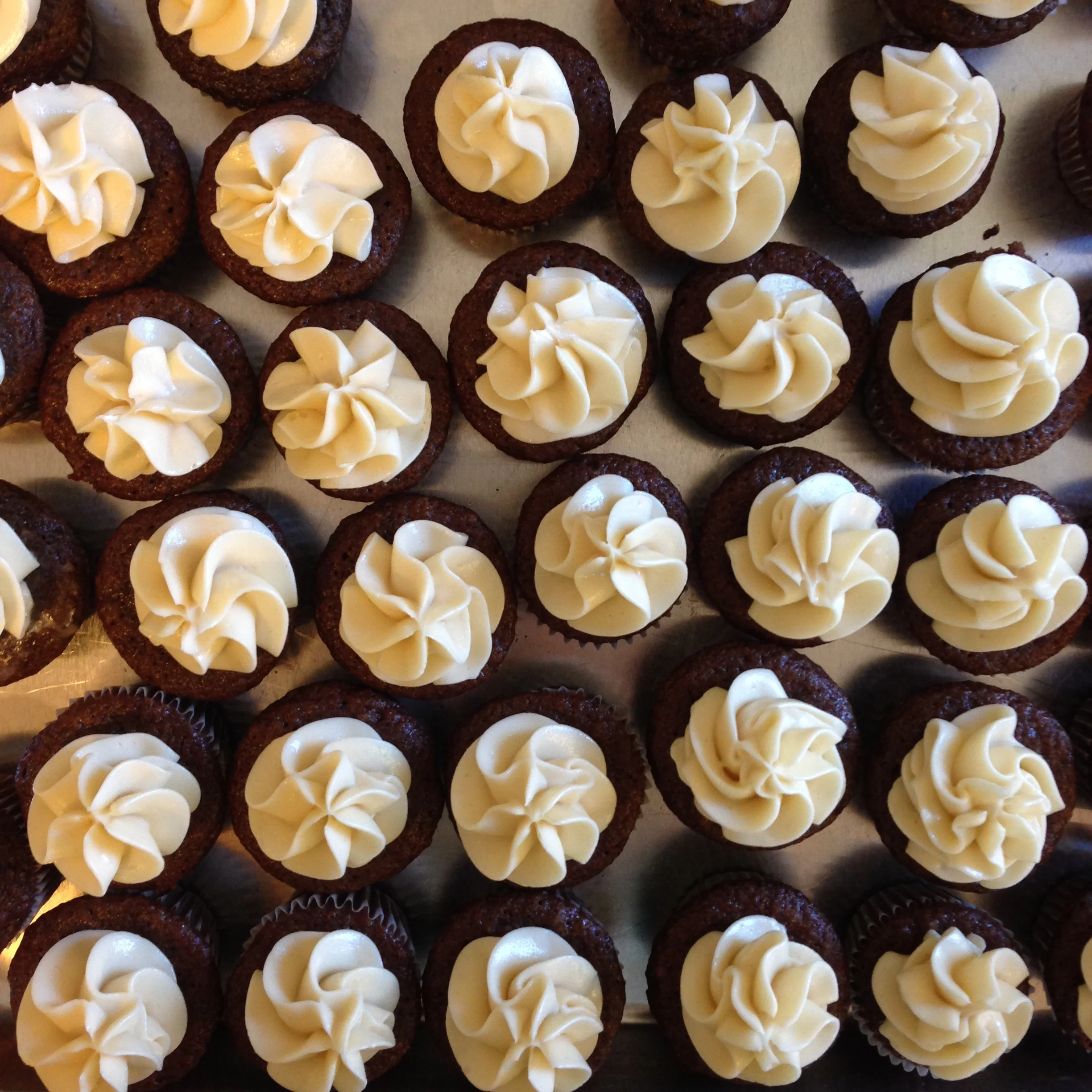 mini cupcakes top down.jpg