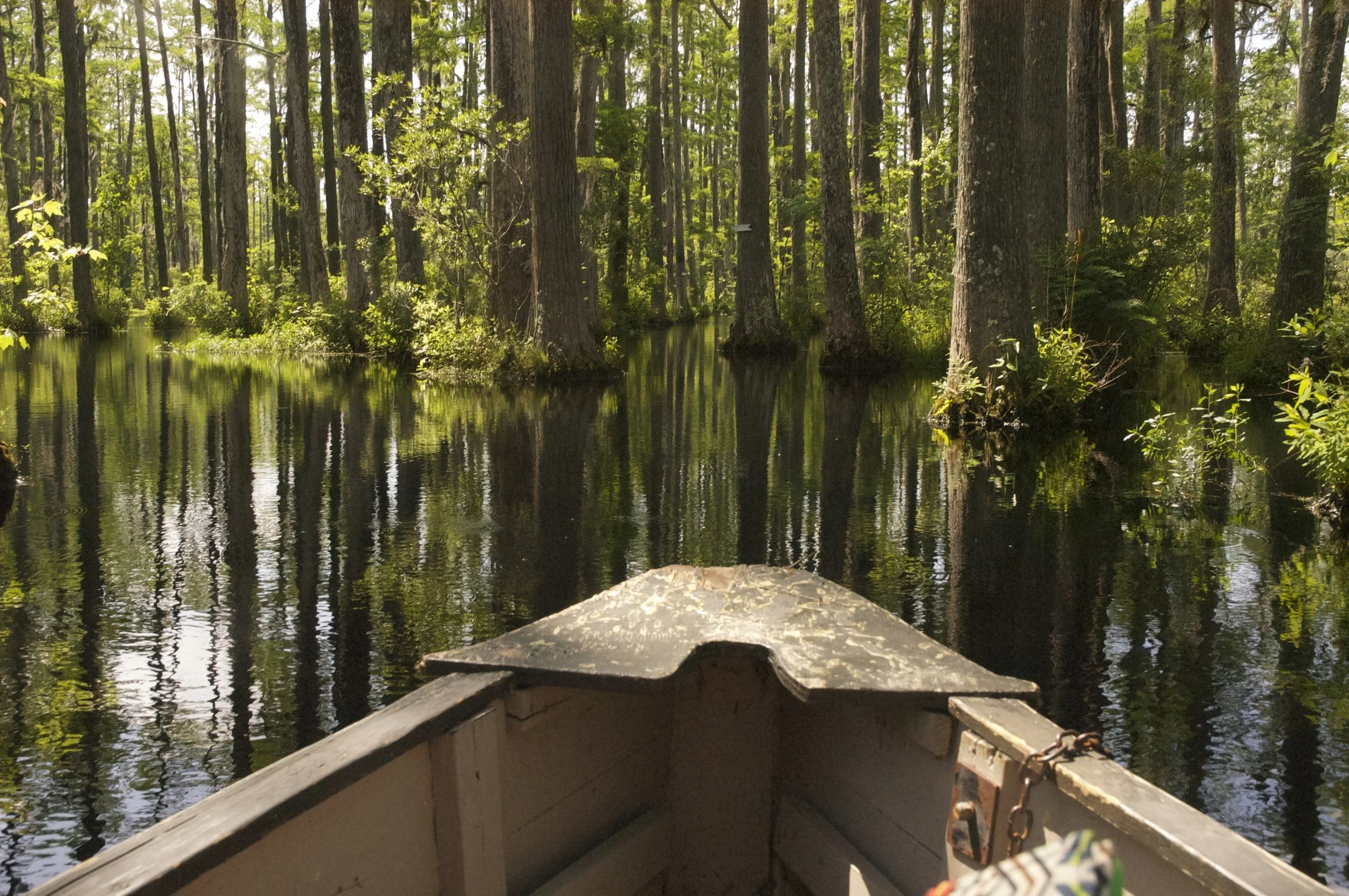 Boat ride.jpg