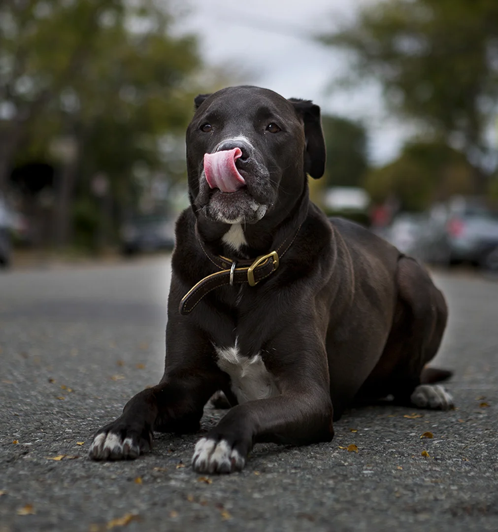 Murphy_T4A7711.jpg