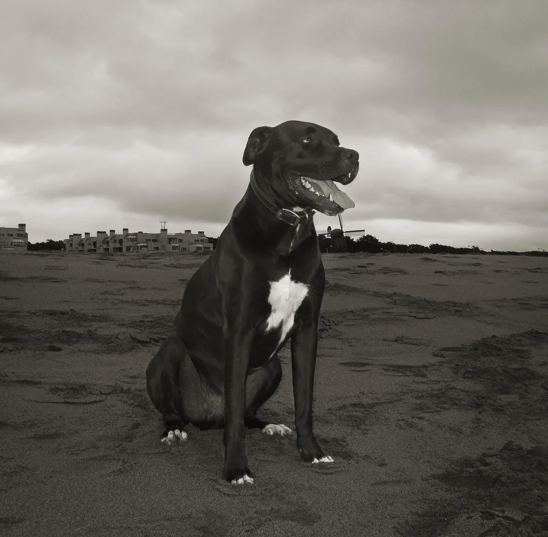 Murphy.2318.jpg