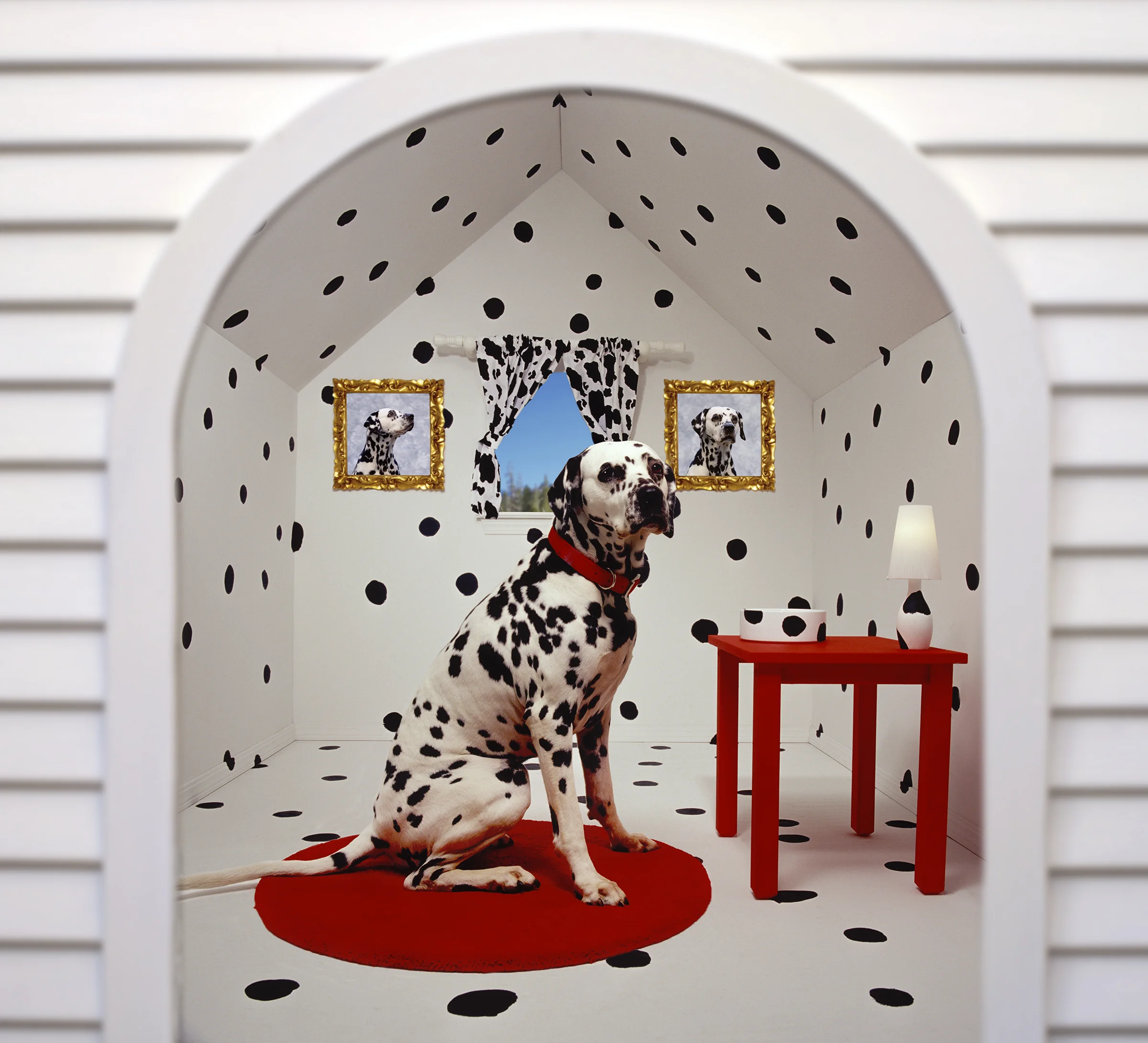 Doghouse2.jpg