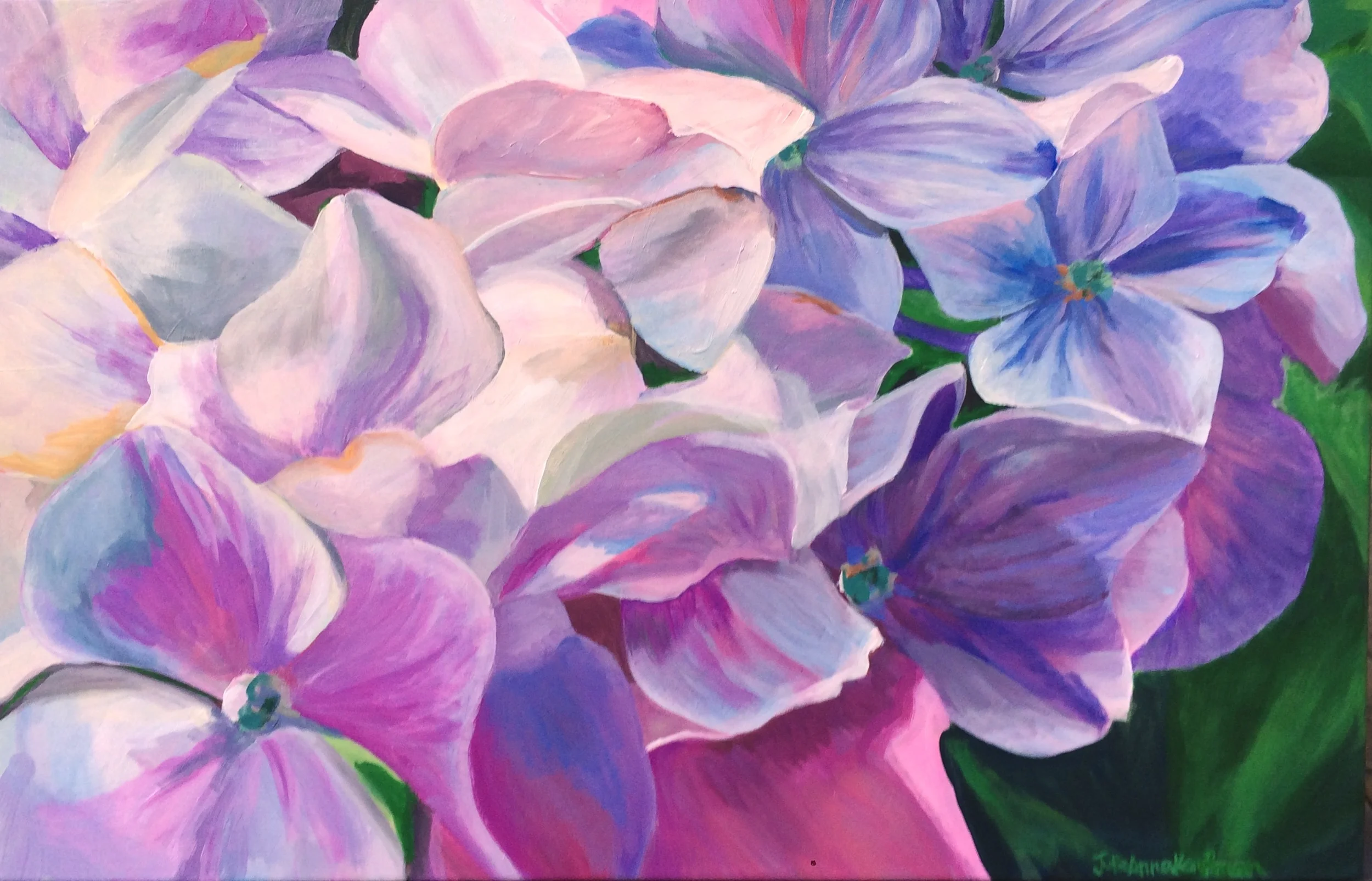 Hydrangea Blossom