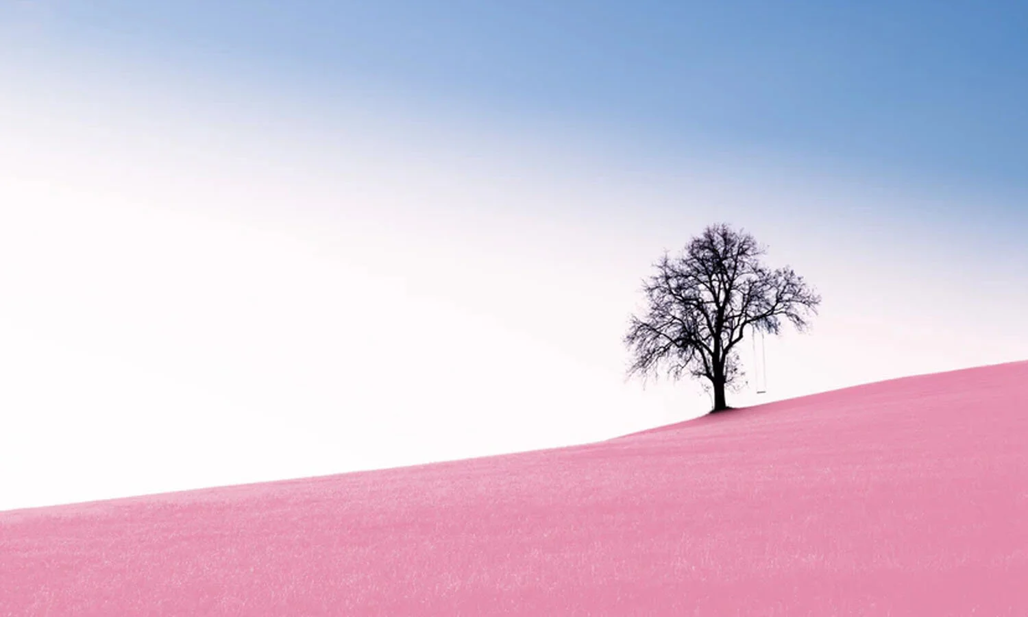 5 Lessons in Resiliency: How I Rebuilt My Life After the NFL