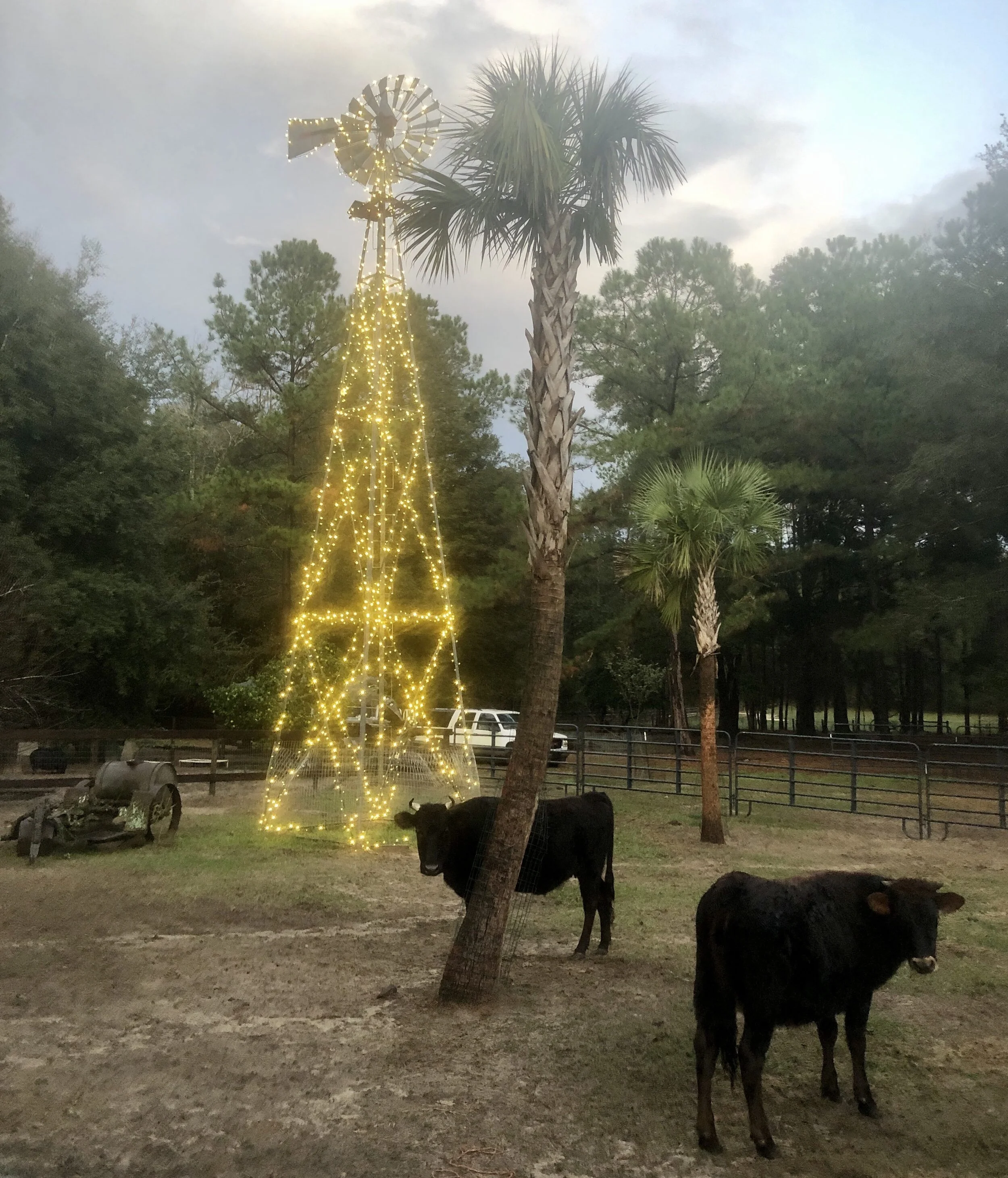 Follow Us On Facebook!