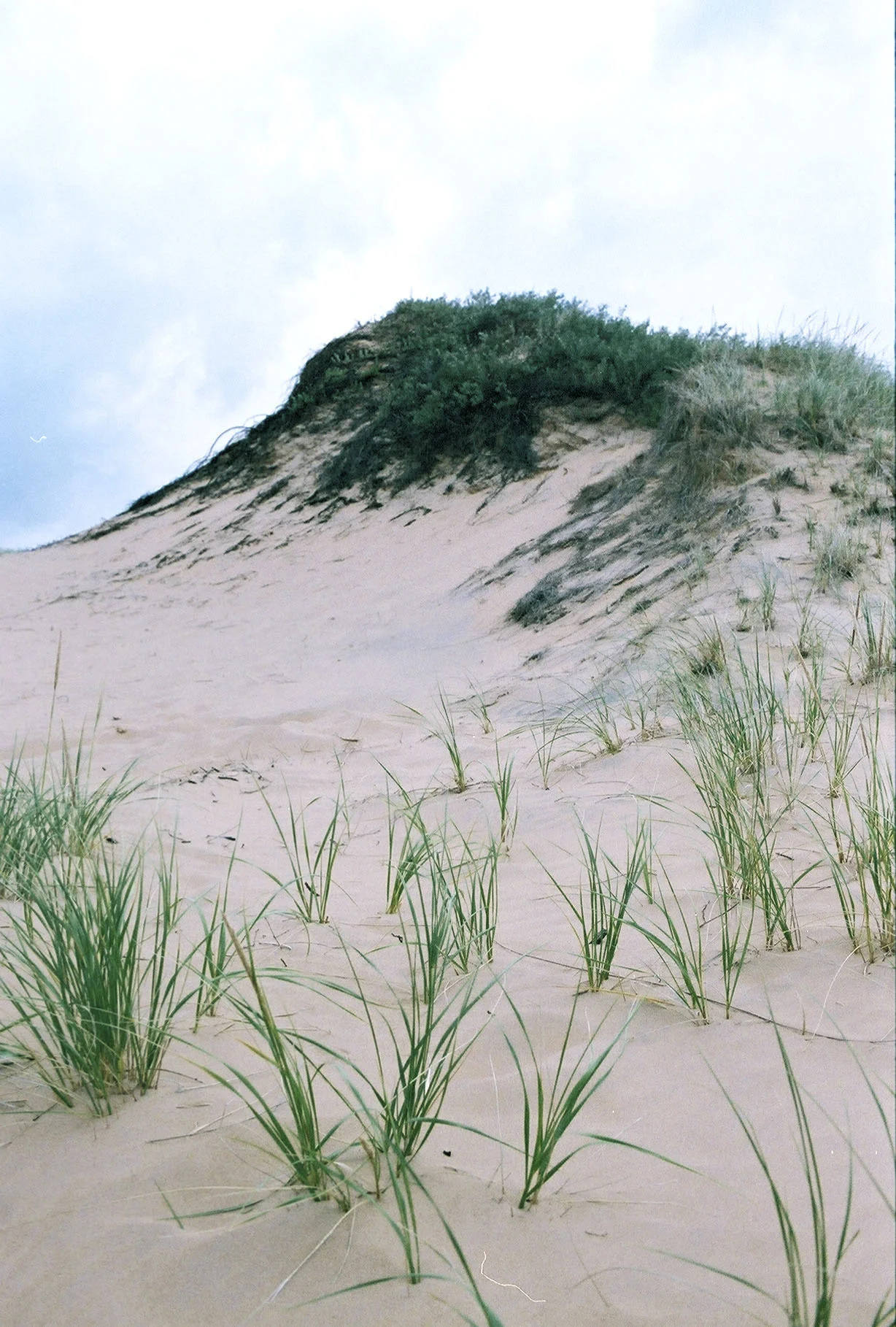 1631978-R1-050-23A.jpg