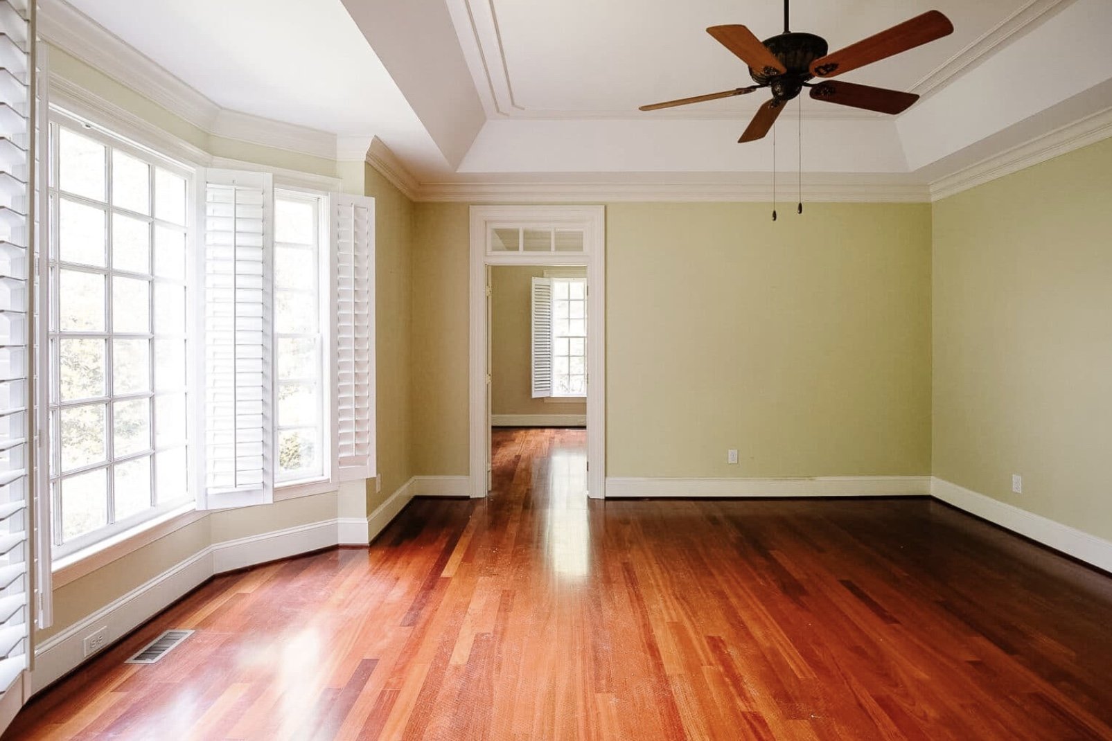 Image 11-14-24 at 12.45 AM.jpeg