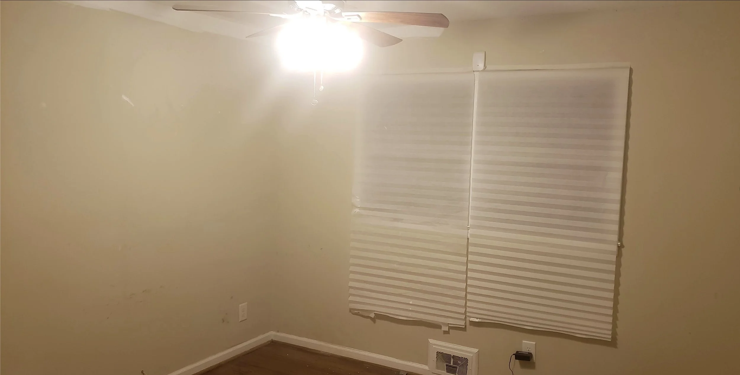 Image 11-14-24 at 3.53 AM.jpeg