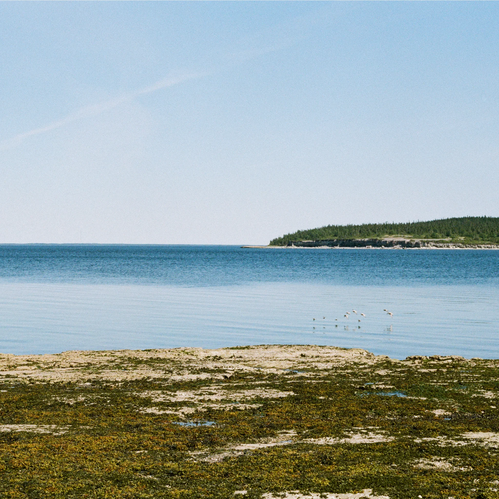 grosseile_1_1x1.jpg