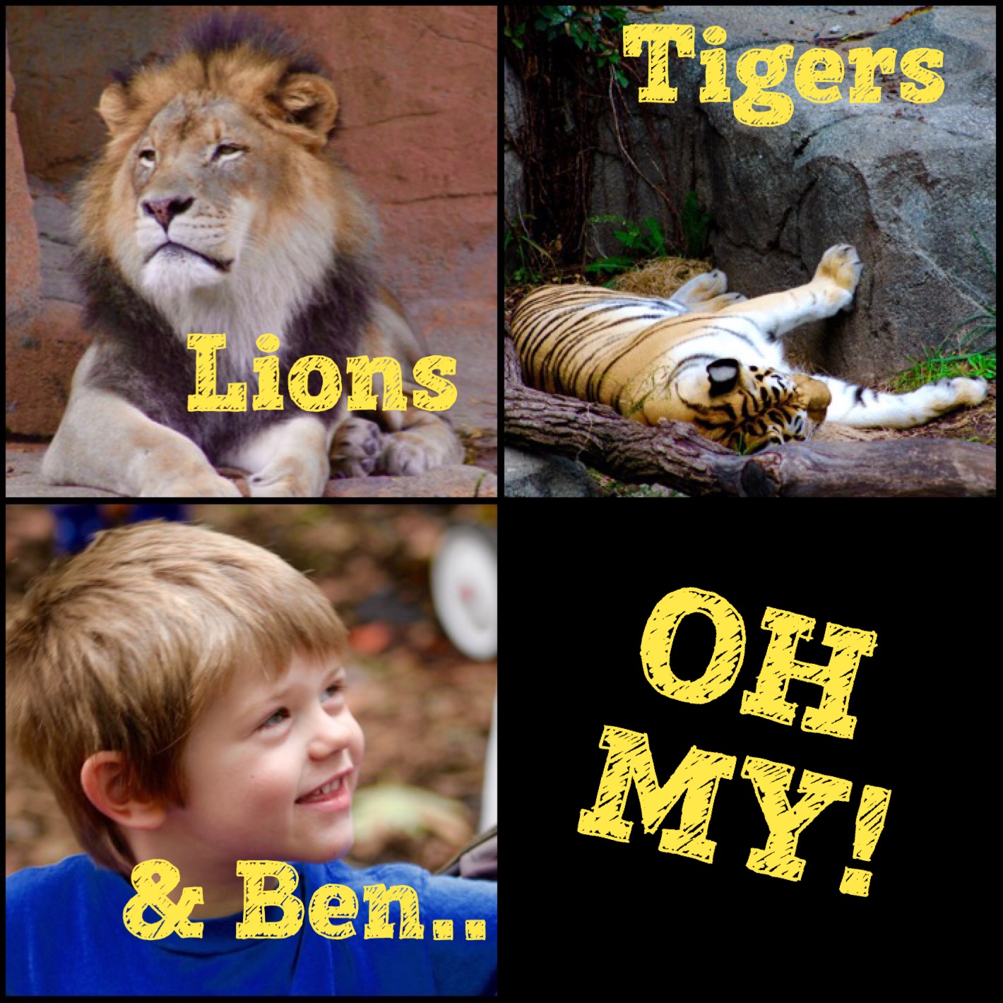 Lions, Tigers, & Ben....Oh My!