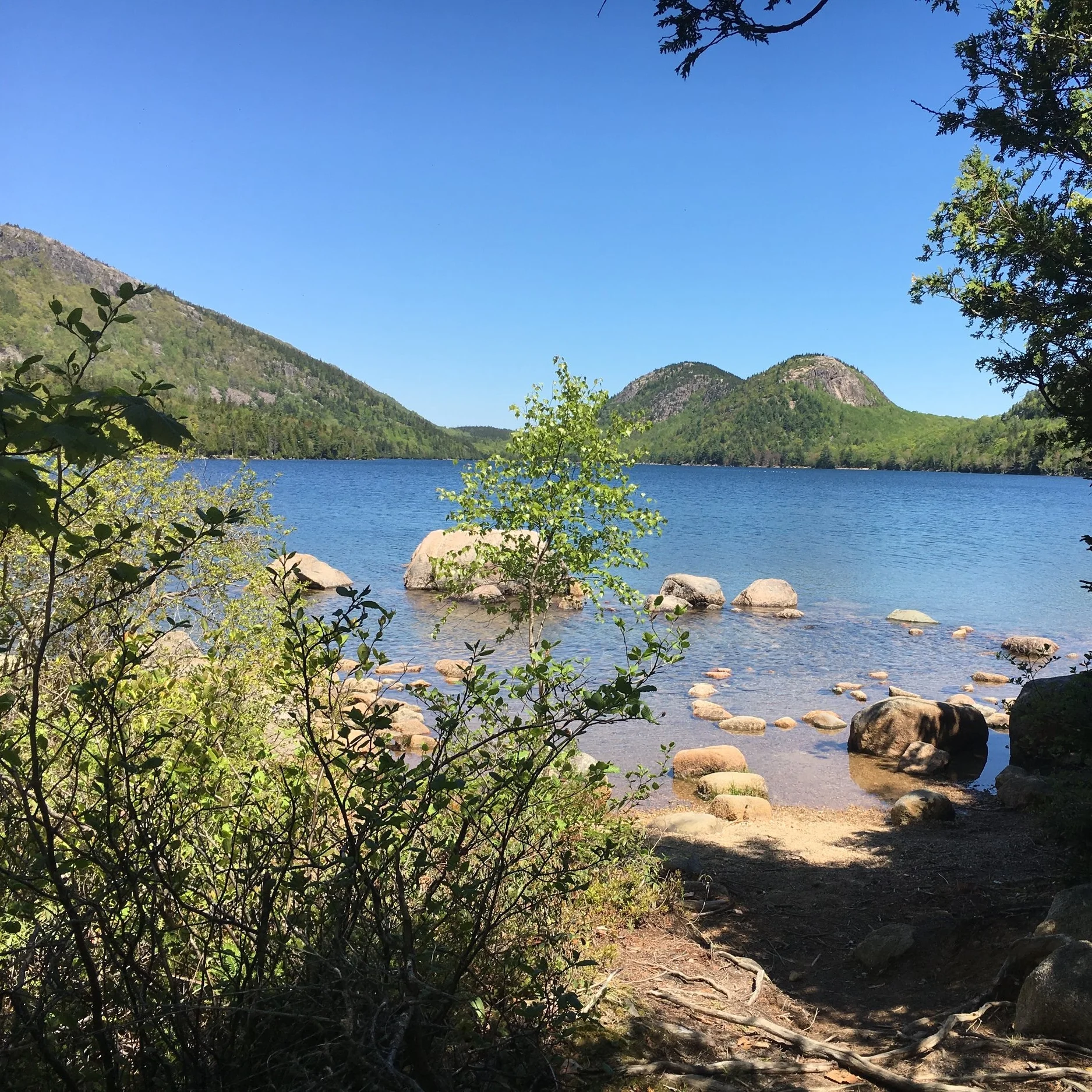 Jordan Pond Path