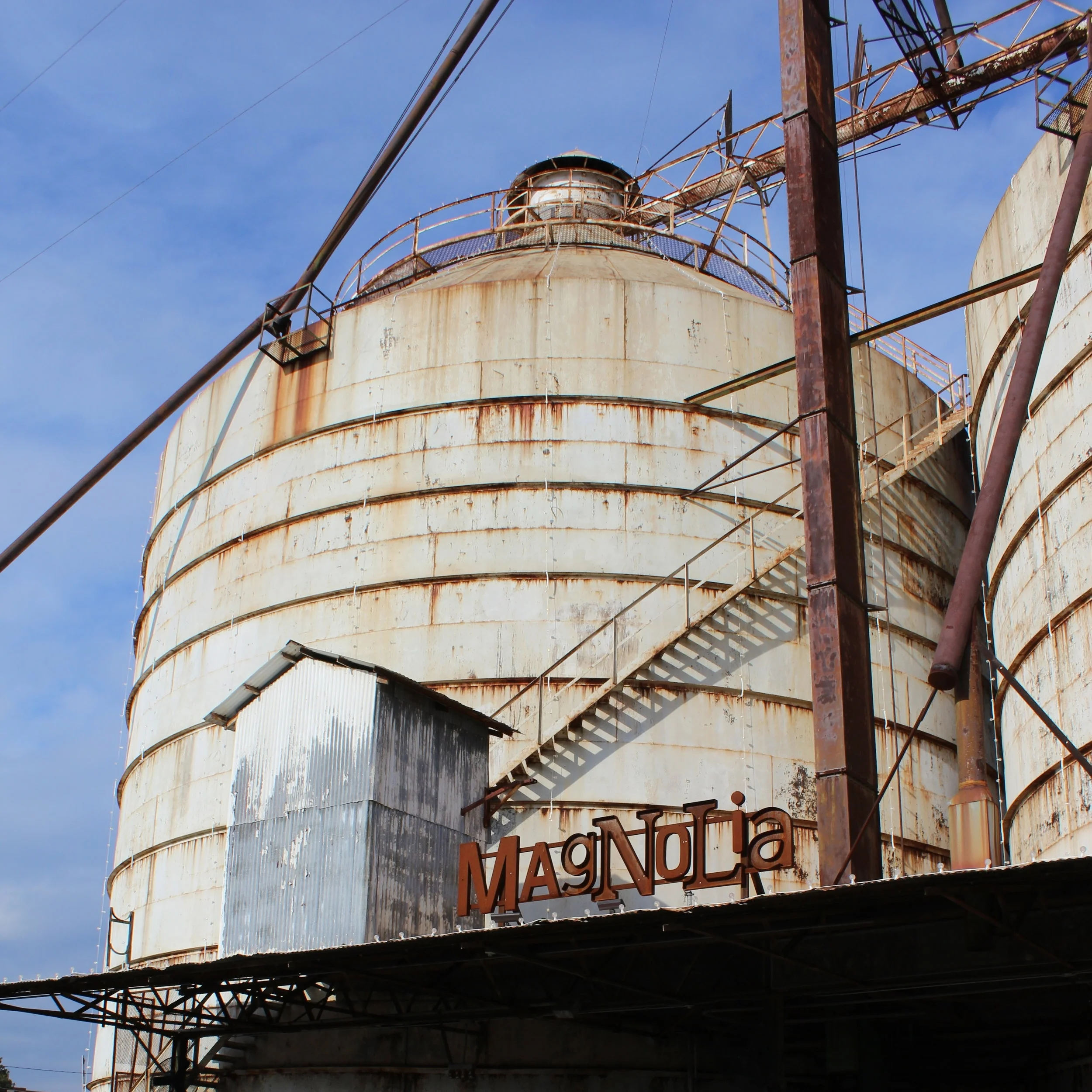 Fresh As a Magnolia in Waco