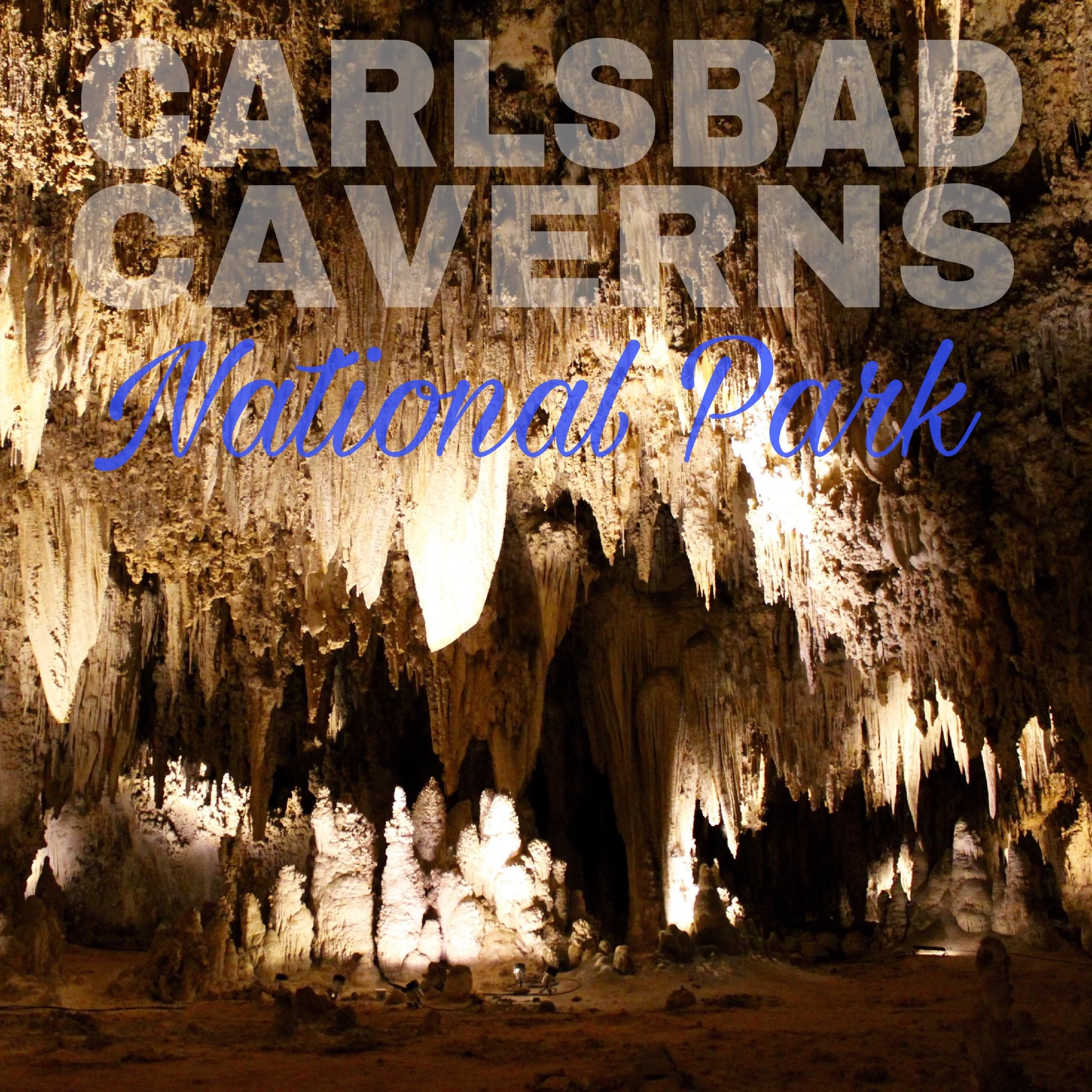 Destination: Carlsbad Caverns National Park 