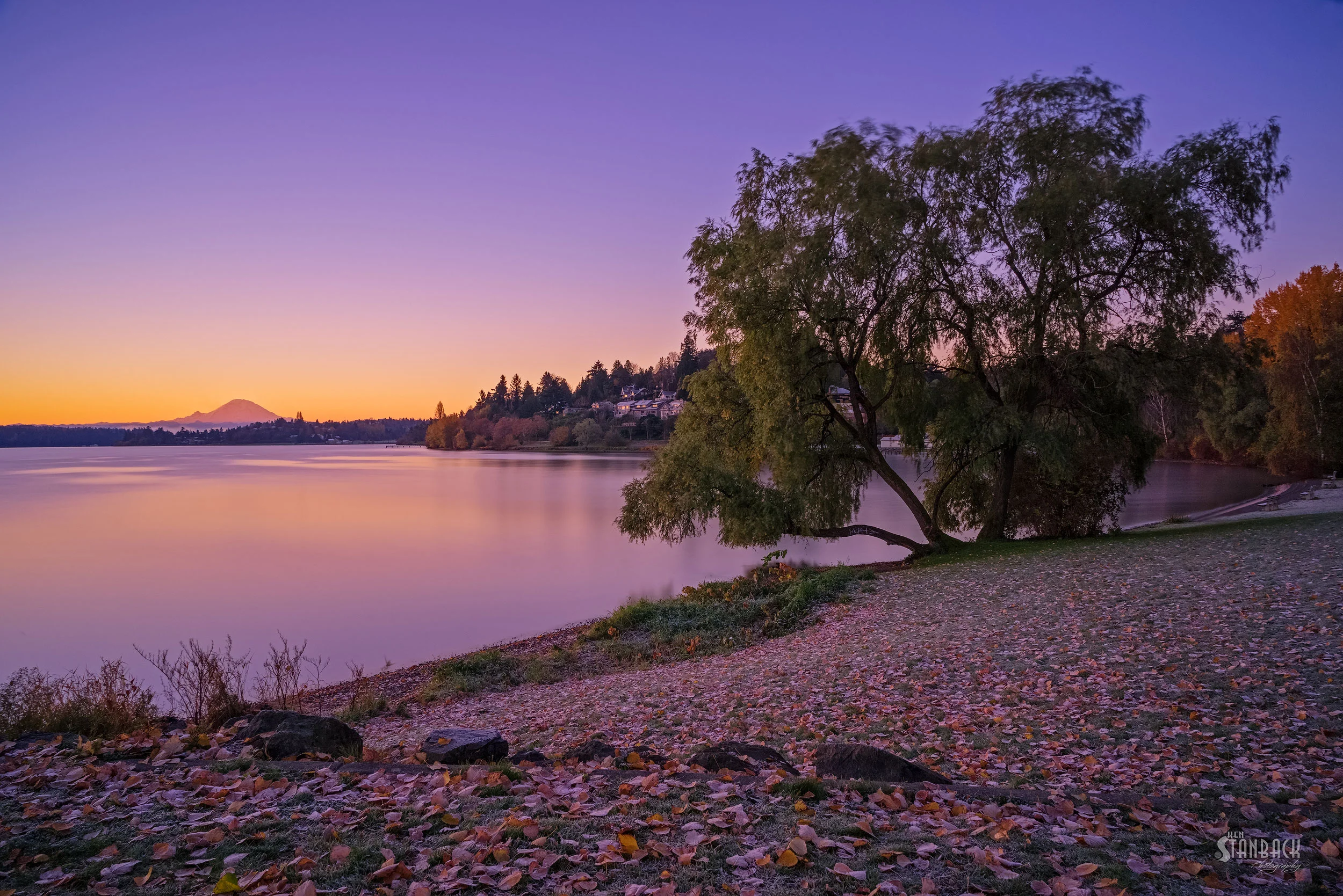 One-Morning-at-the-Lake-SQS.jpg