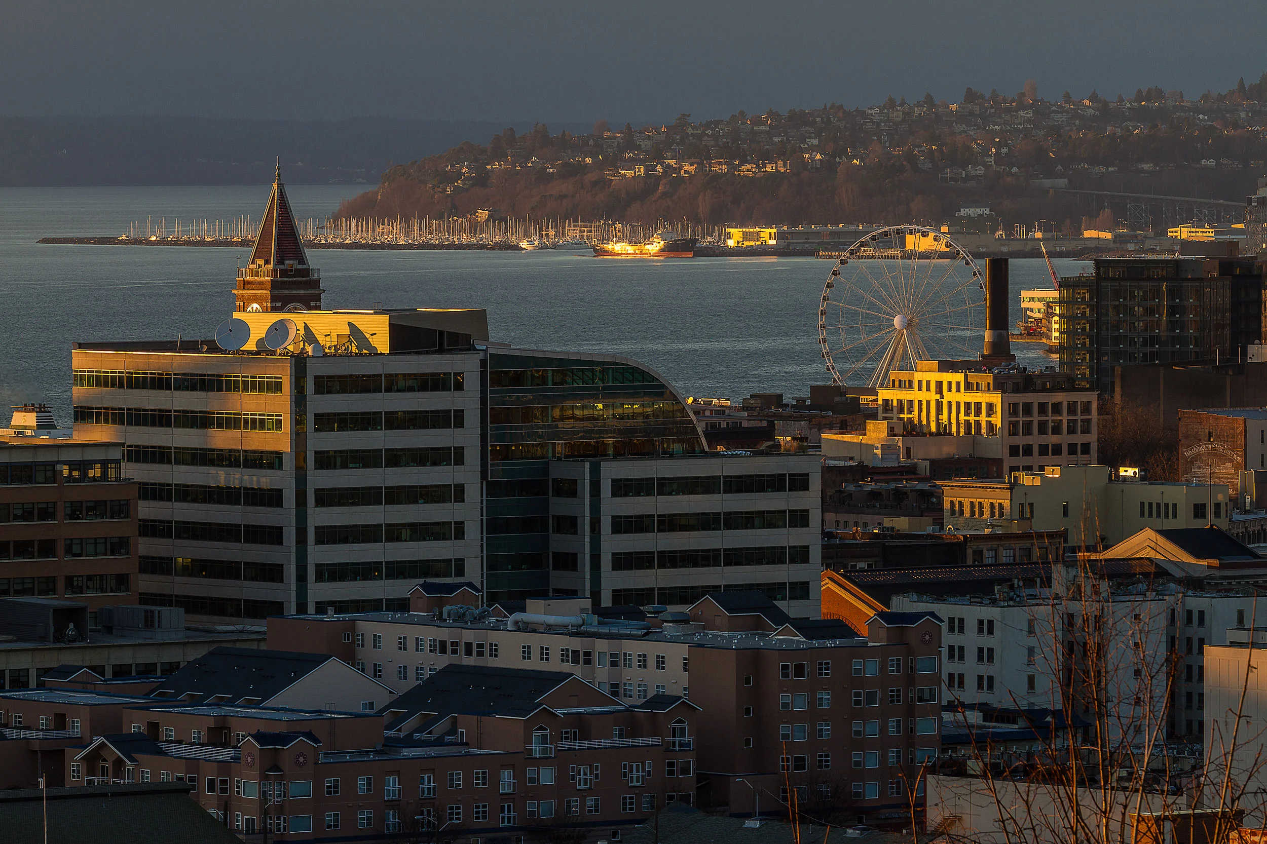 Seattle by Design