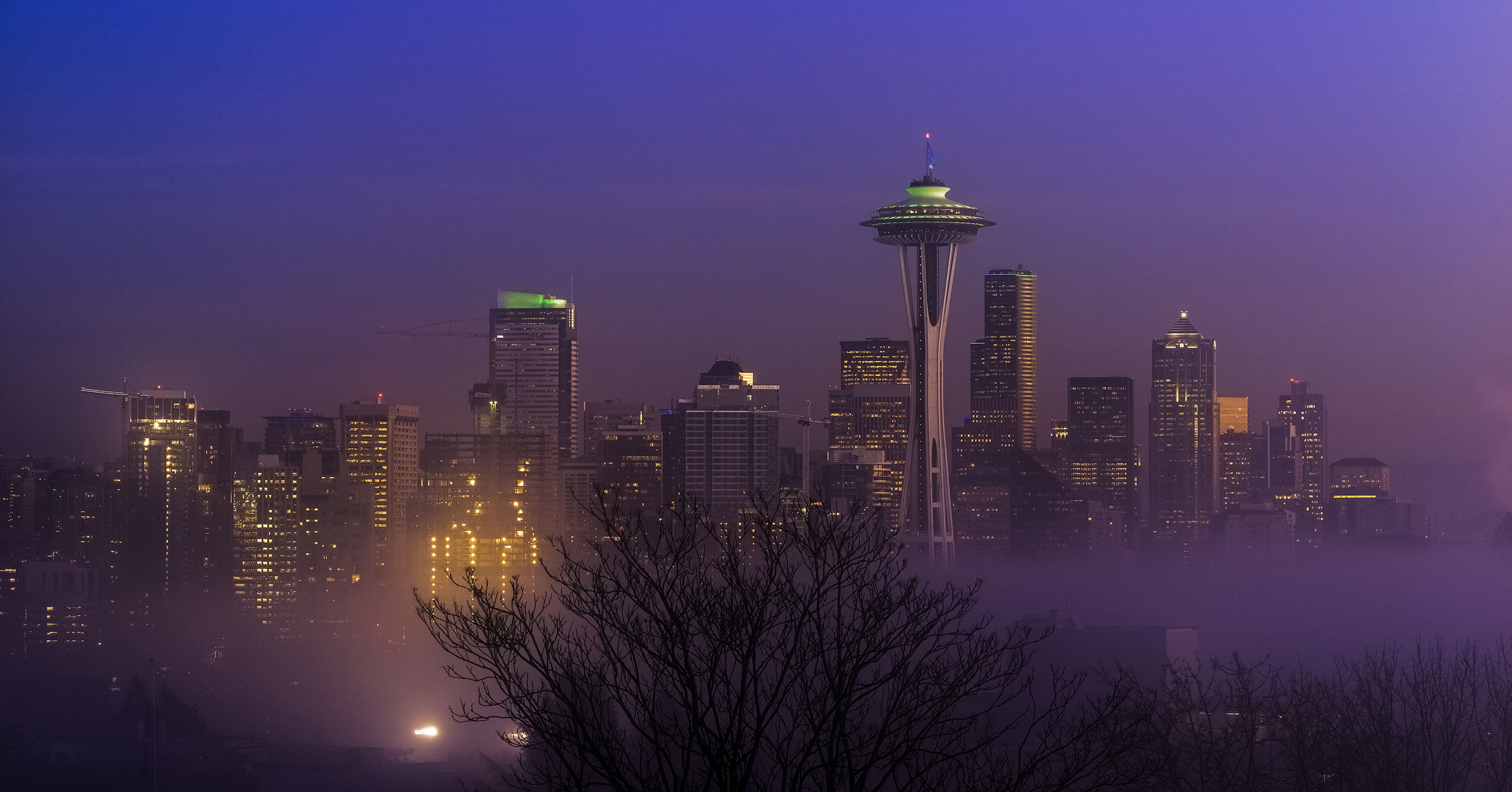 Seattle Purple Fog