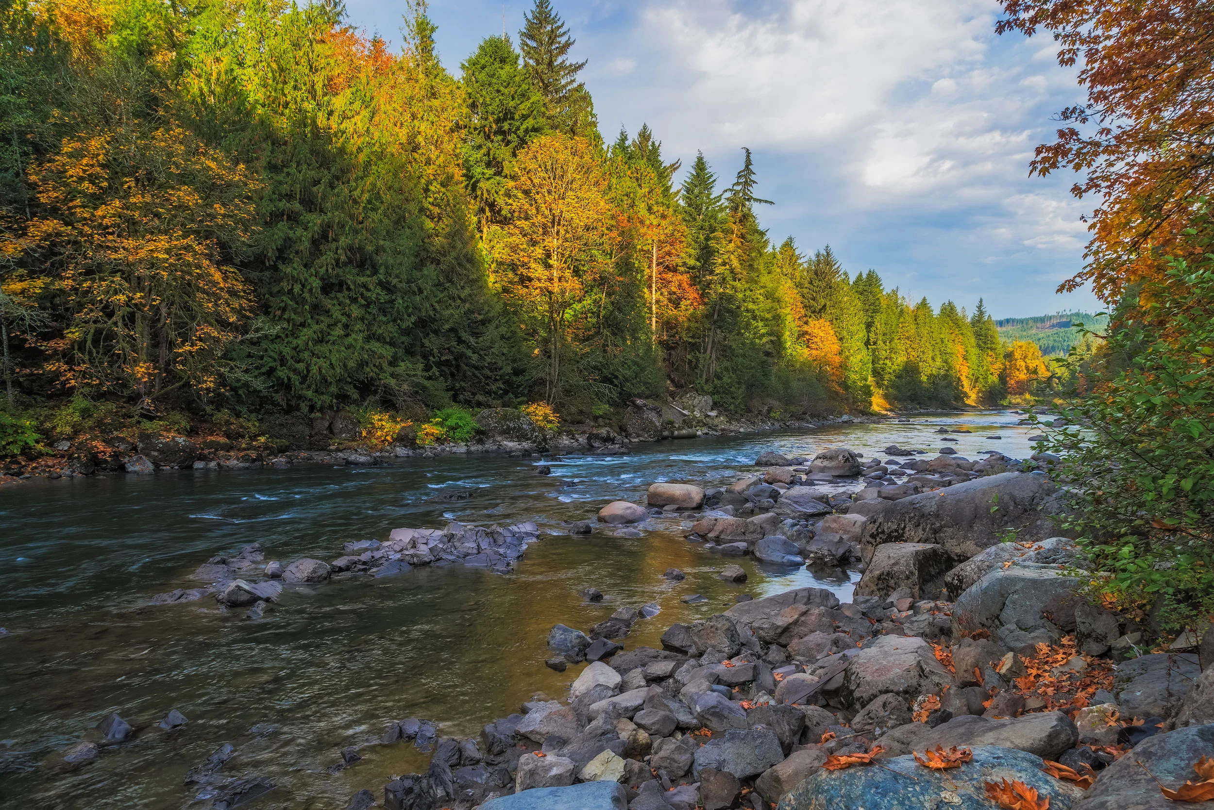 Autumn Morning Light on the Snoqualmie