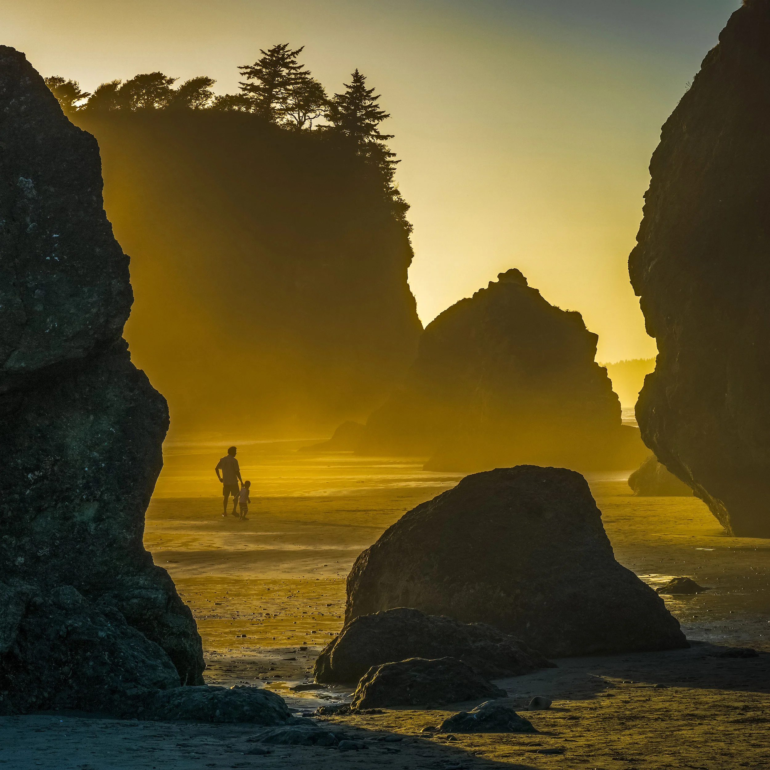 The Science of Life at Ruby Beach