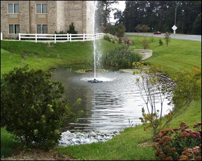 Pond Photo 1.jpg