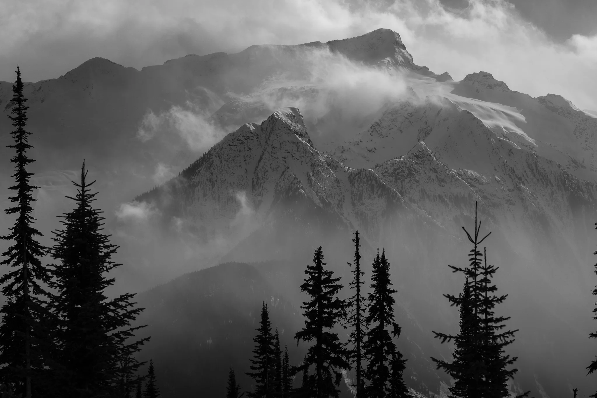 Keystone_Valleytreeforeground_BW_Landscape.jpg