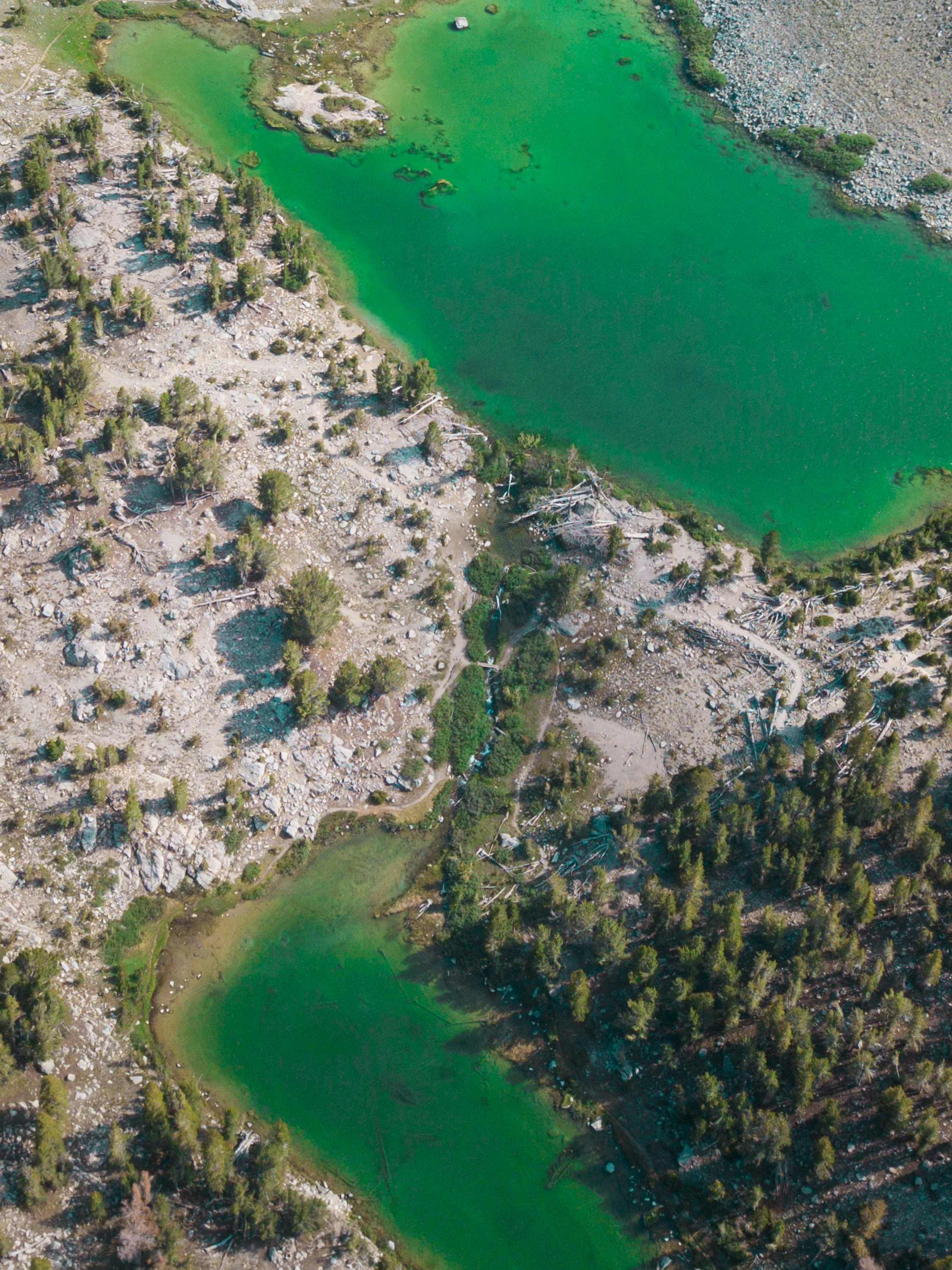 BarneyLake_Drone_01-0131.jpg