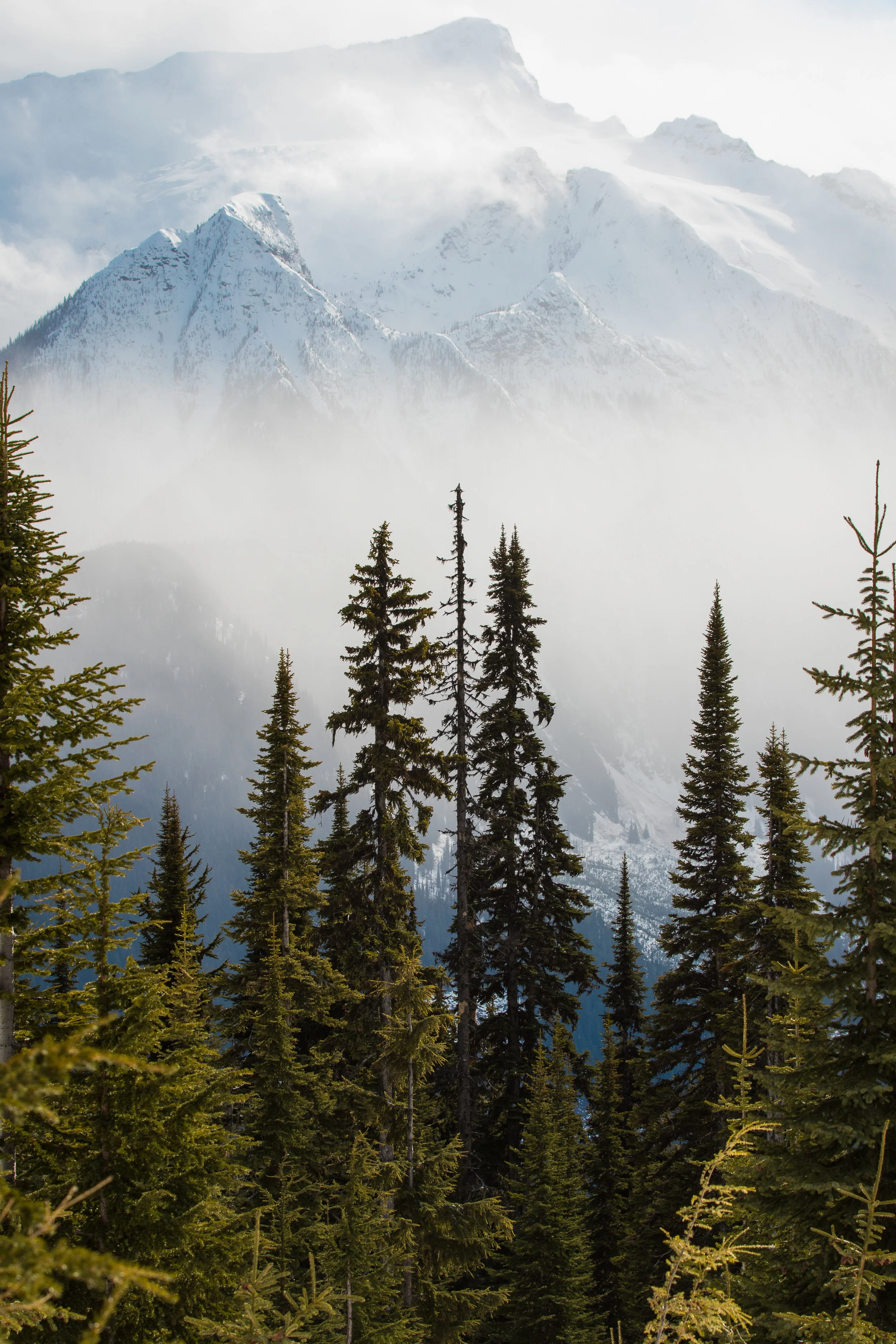 Keystone_Winter_spring_Vertical.jpg