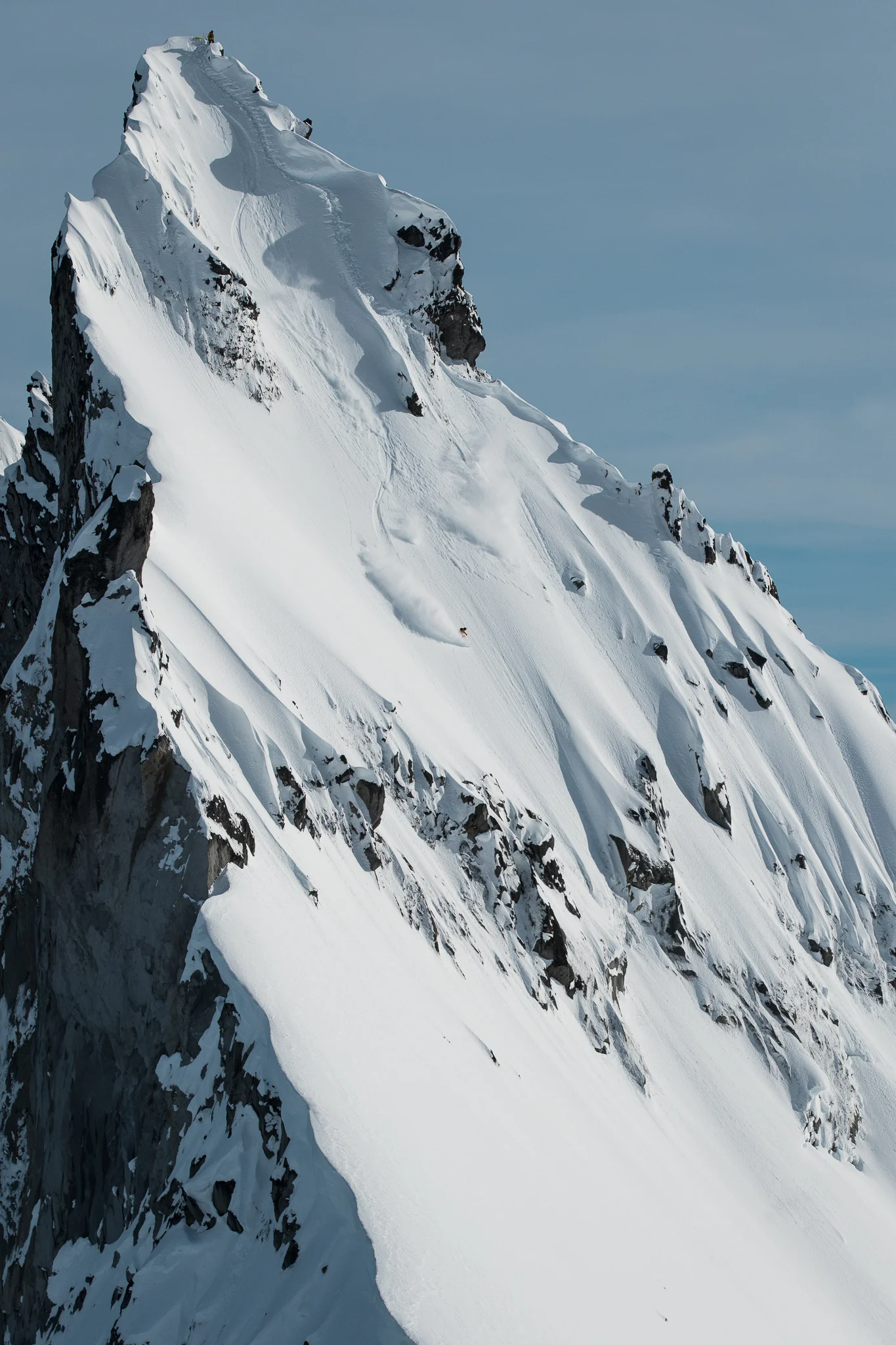 WILEY_FEE_05.jpg