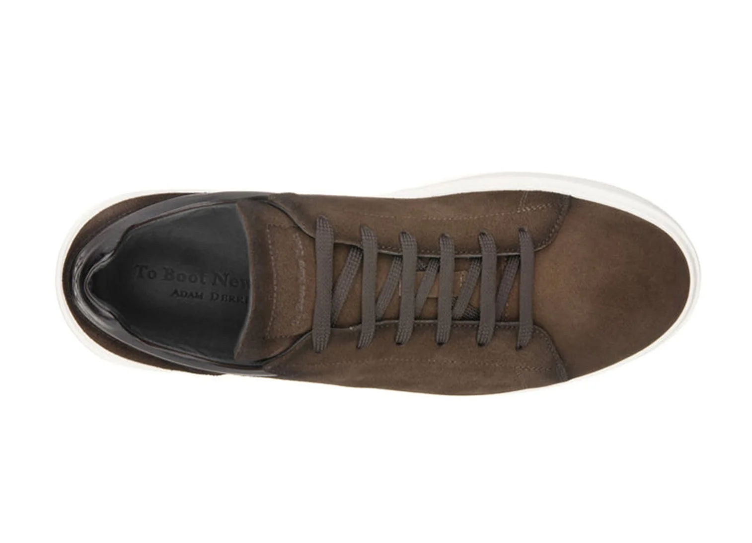 Rocco Aero Suede Sneaker in Brown $450