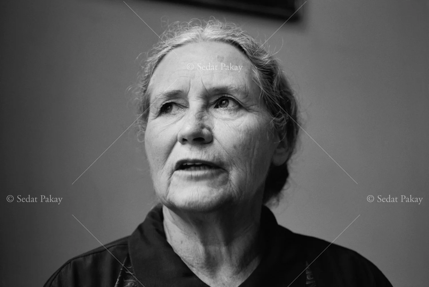Doris Lessing, Writer