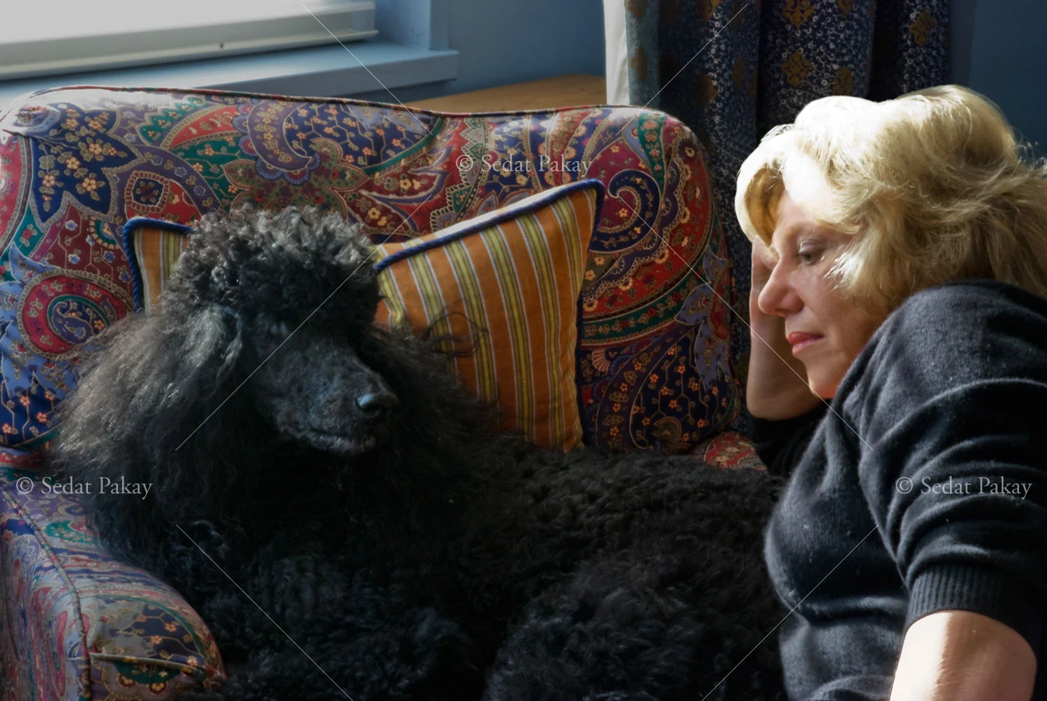 Erica Jong, Writer