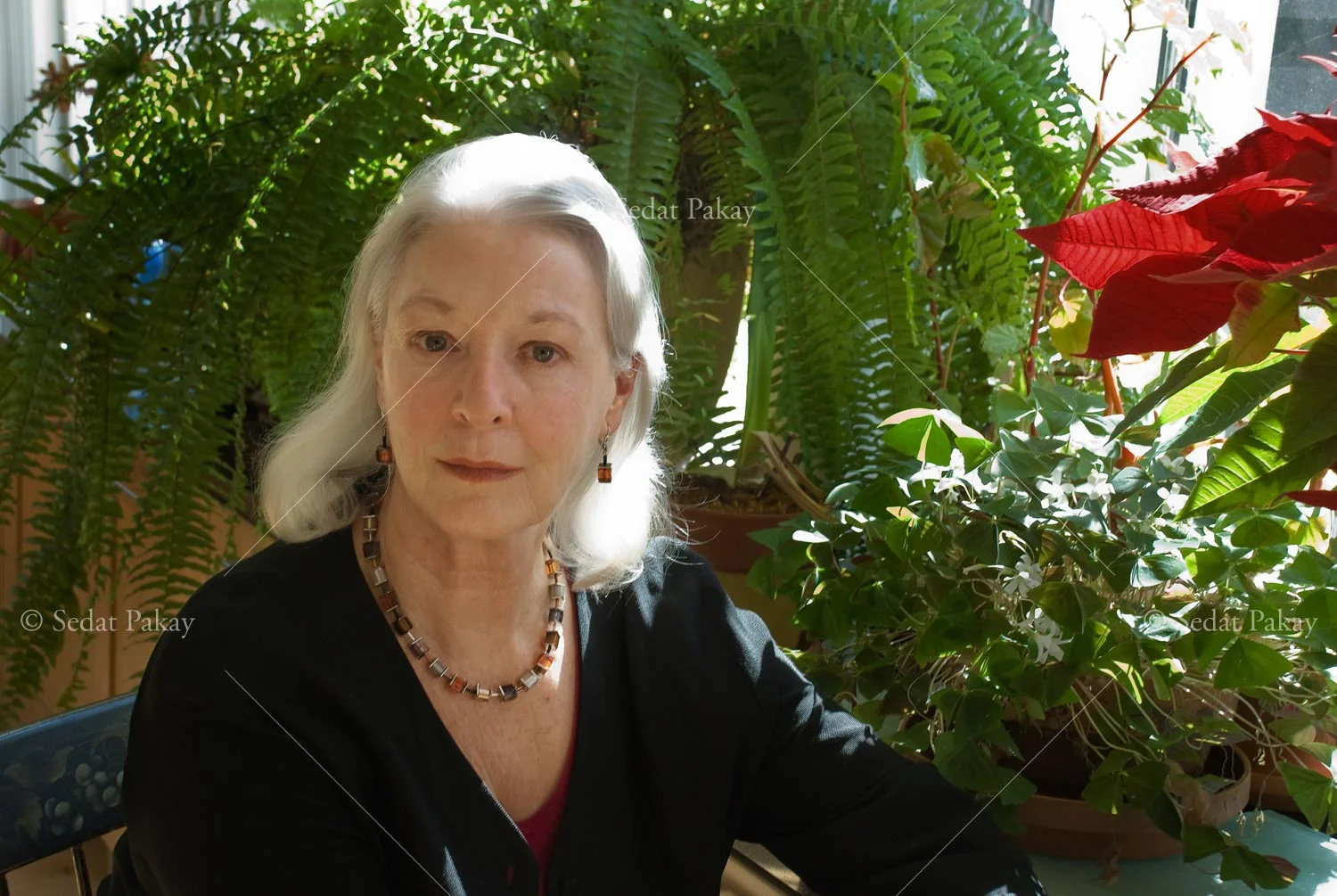 Jane Alexander, Actress