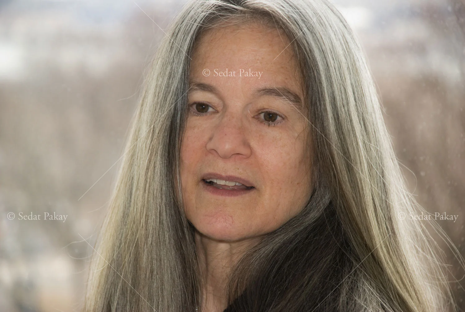 Sharon Olds, Poet