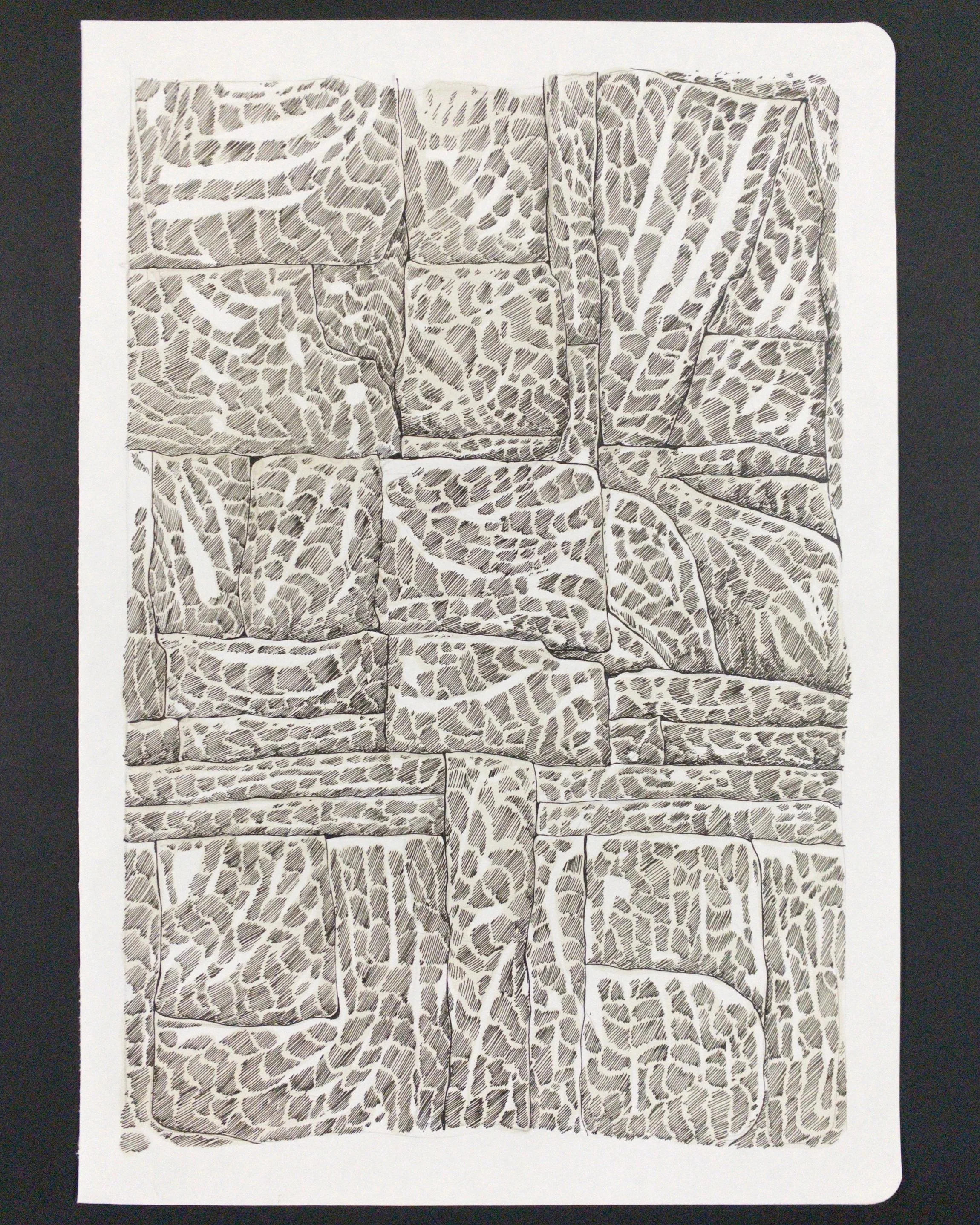 Untitled (Coral Wall Sketch)