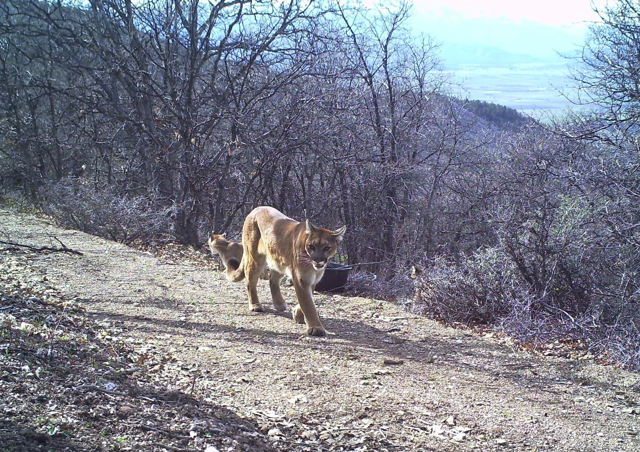 Free Speech - Not So Sure?