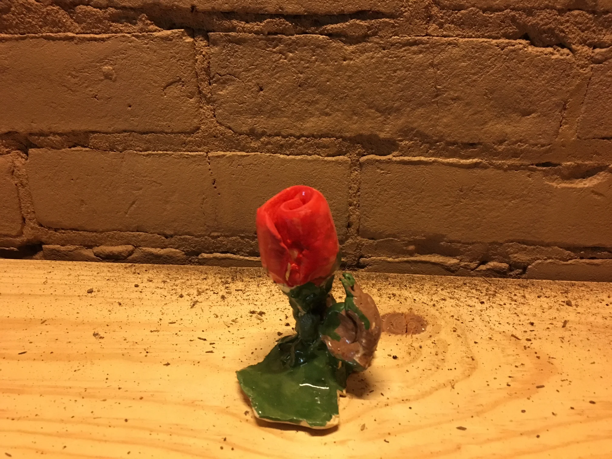 Snail Rose.JPG