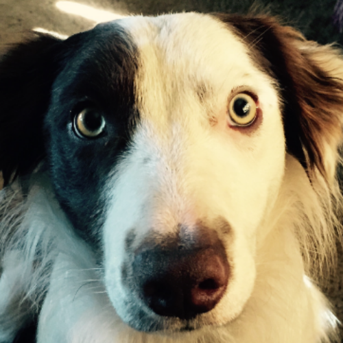 Kech the Red - "Marrakech"