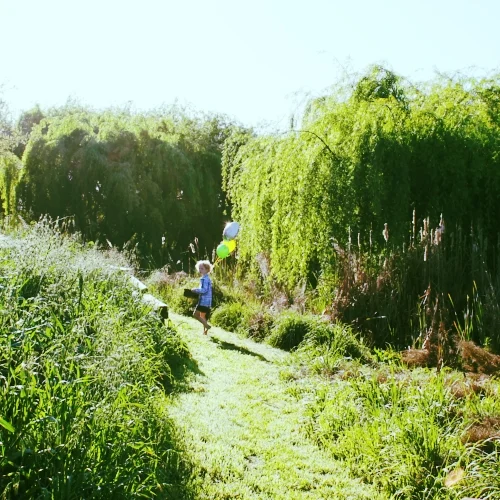 Today I go to try...