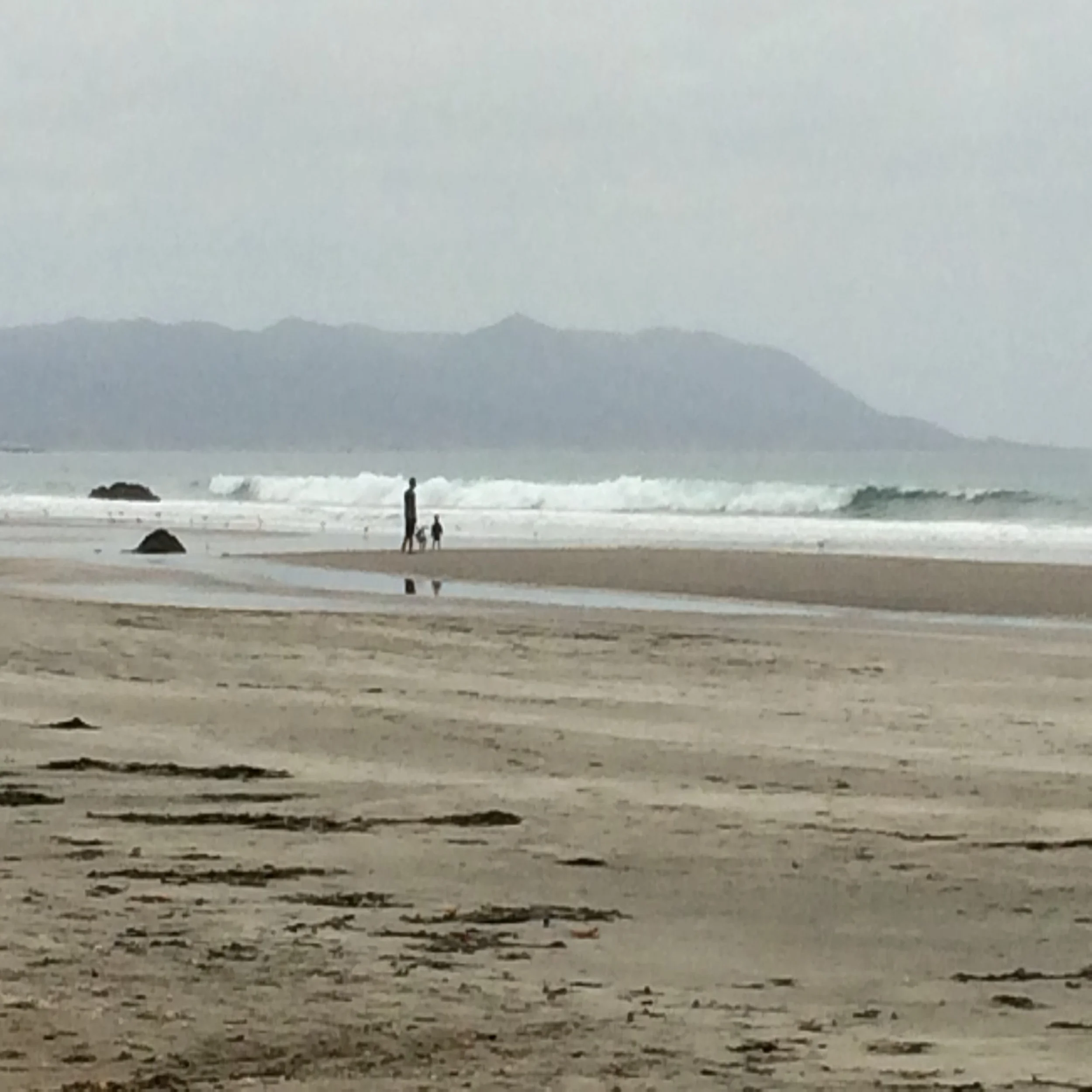 Watching the waves...