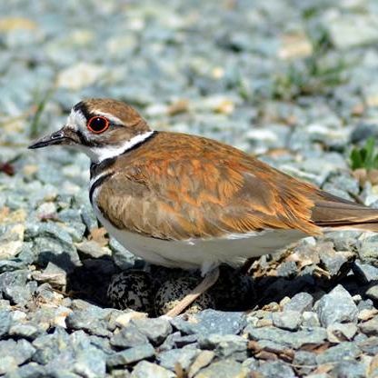 We the people…or aren’t we?