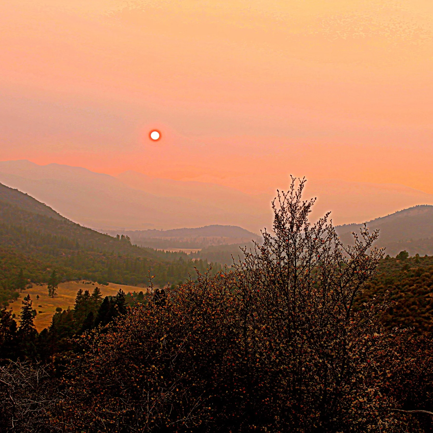 When I Dance Around The Fire...