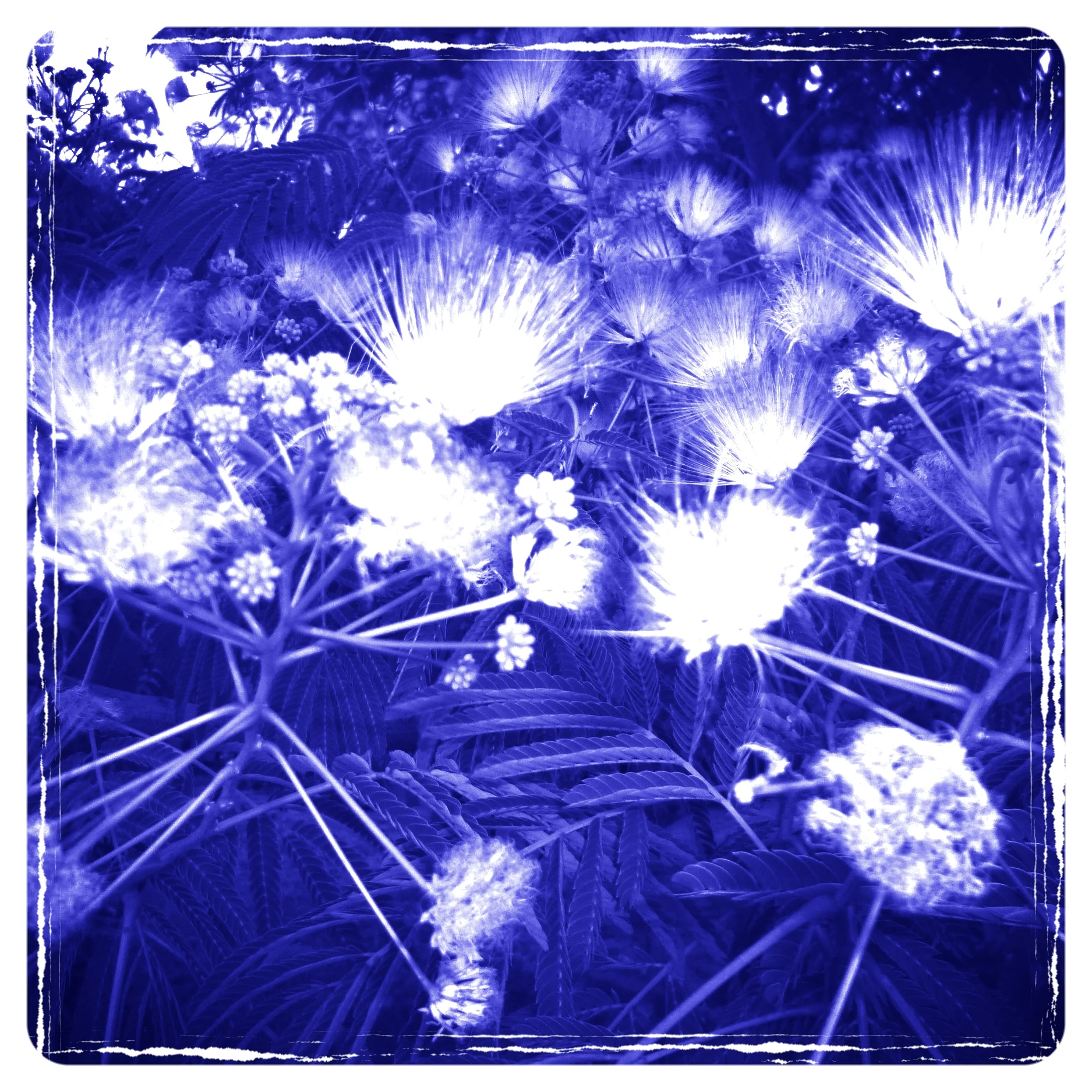 Lean into the light...