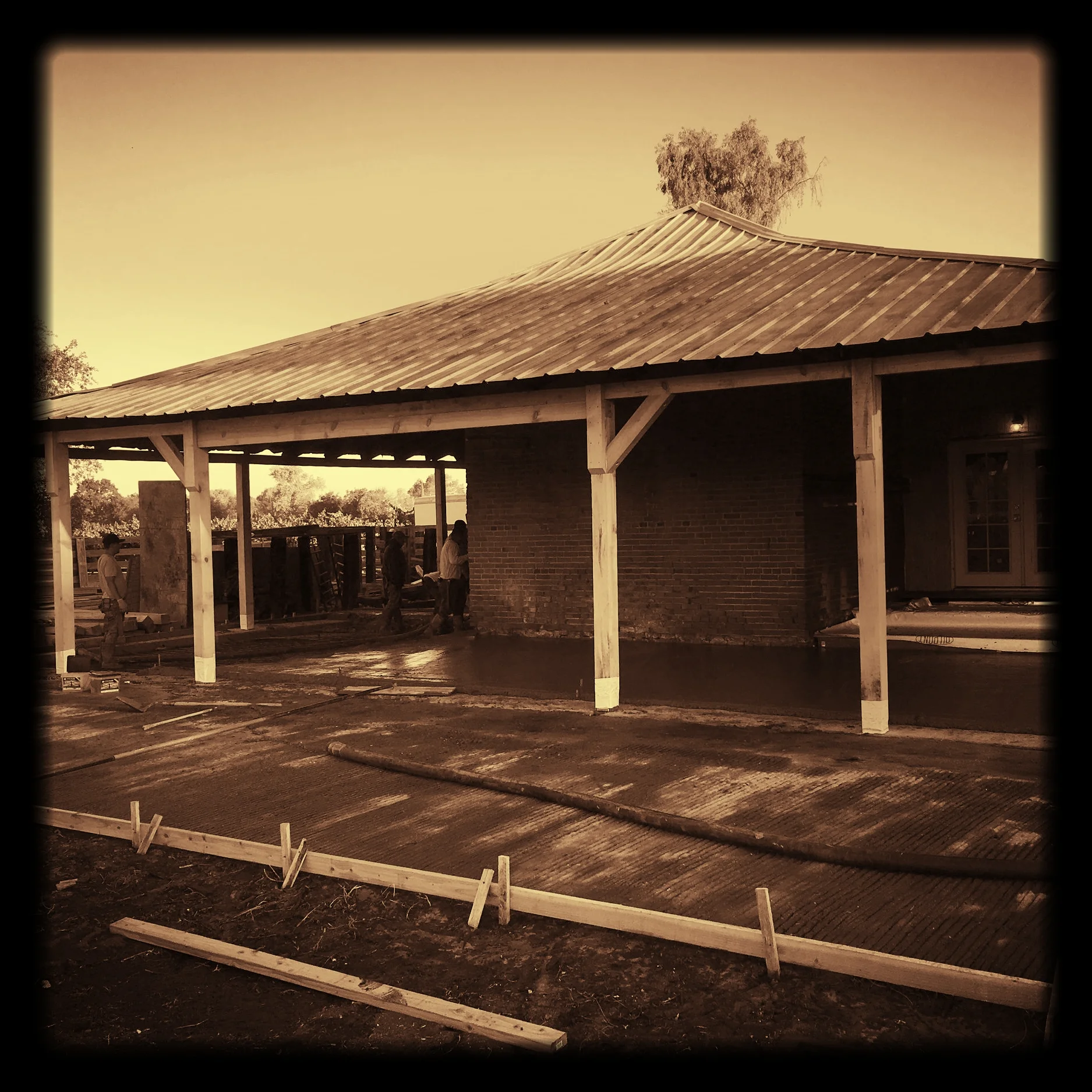 Our Music: Beauty of Form, Expression of Emotion - Harmony