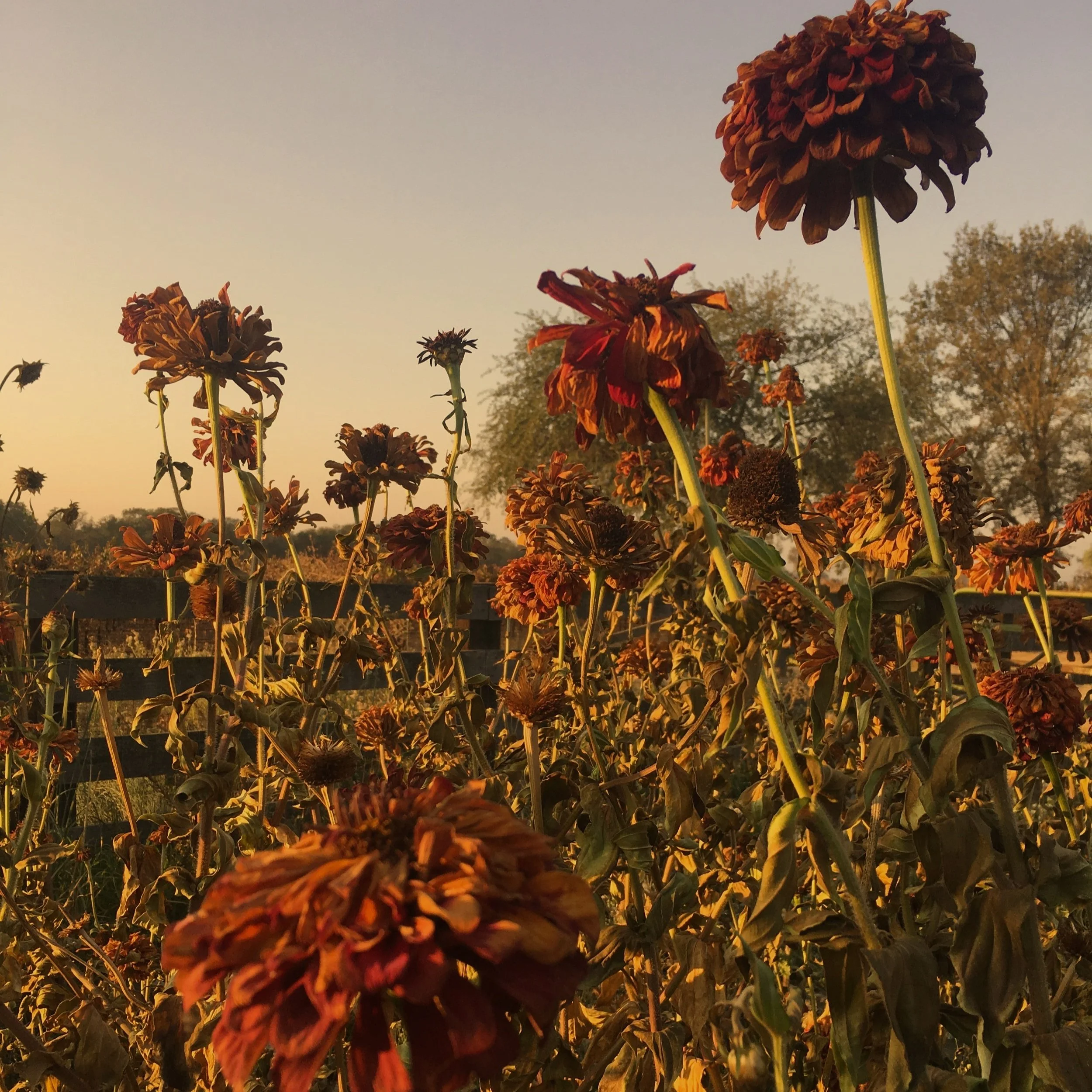 The Sacredness of the Mundane: Every Little Bit Counts