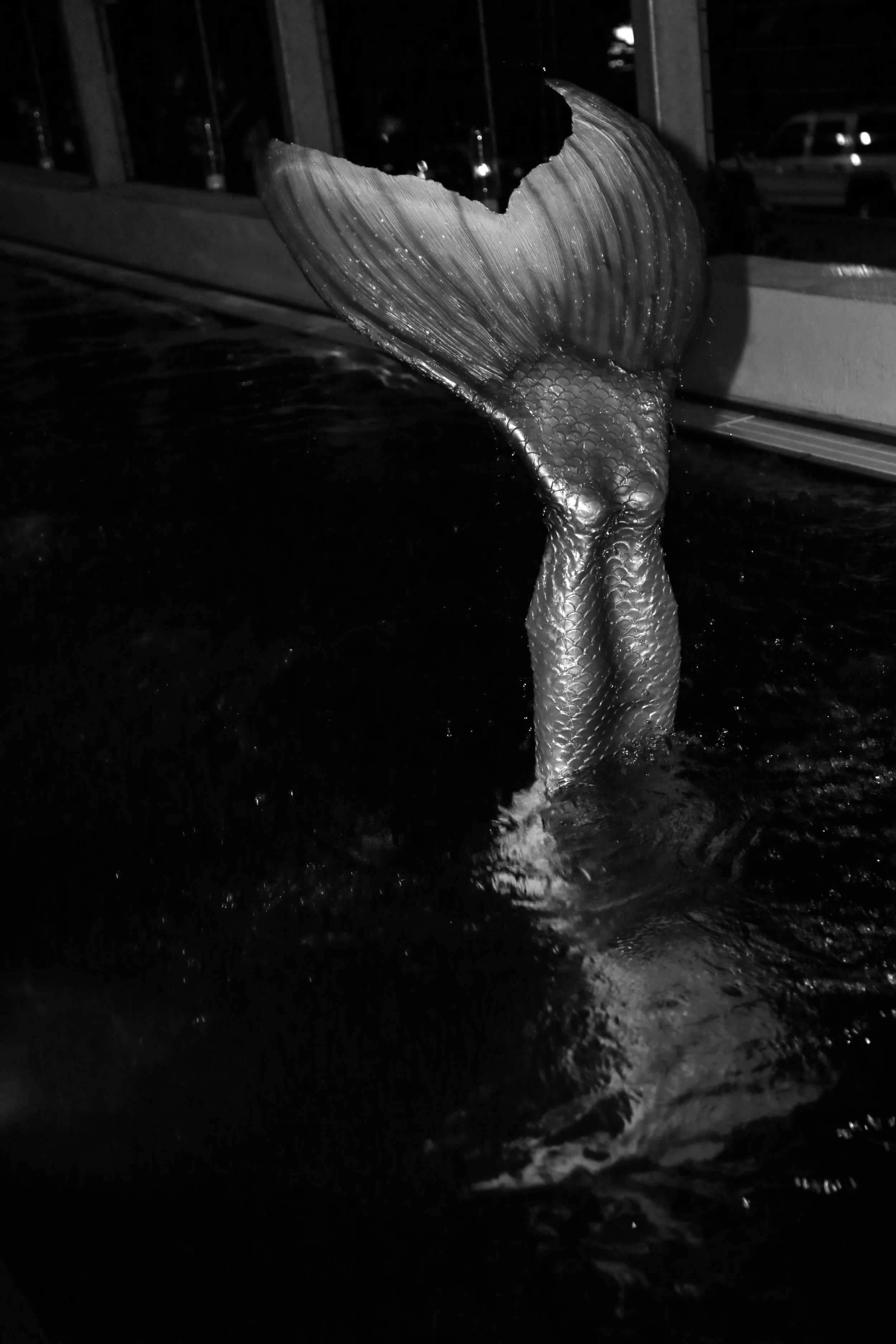 Mermaid-4.jpg