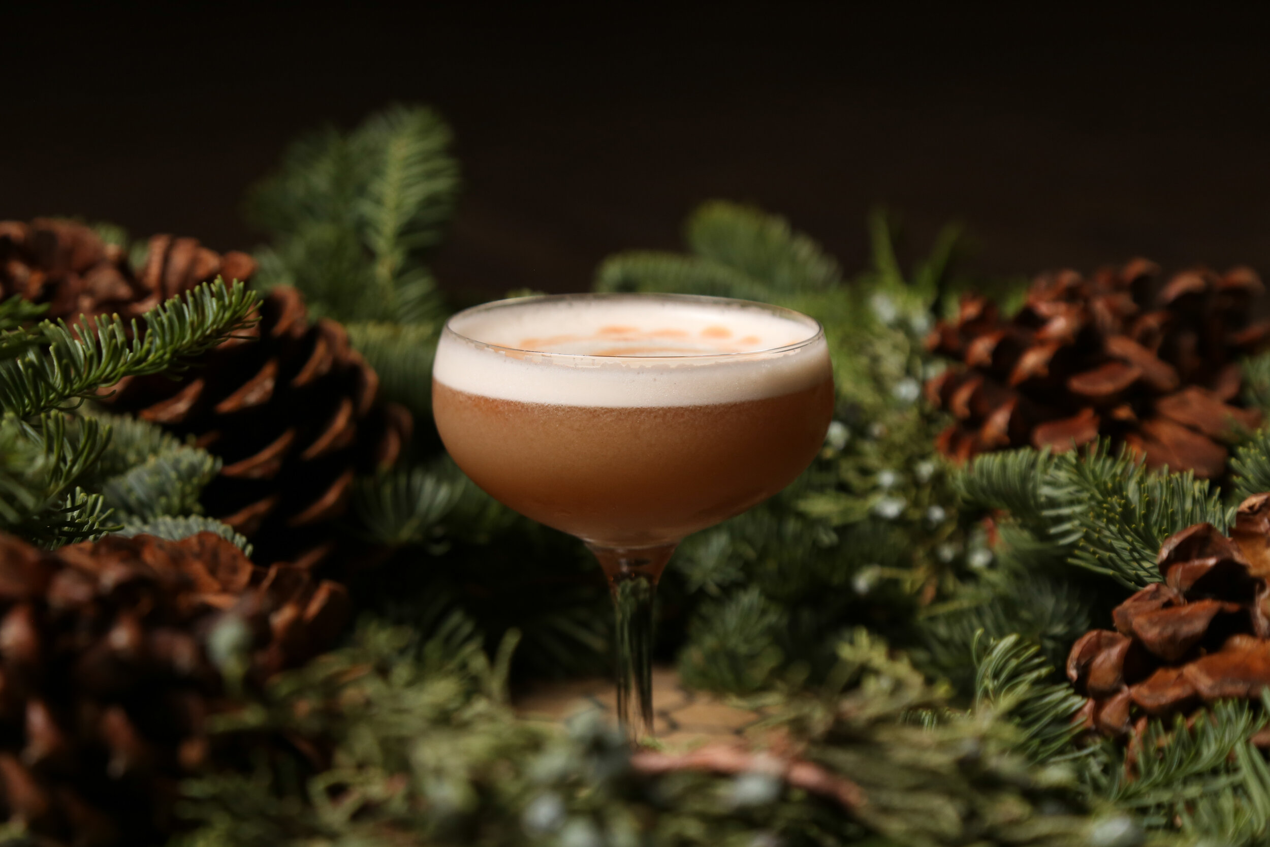 SR-HolidayCocktails2019.FINALS-67.jpg